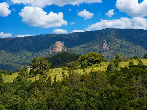 Farm For Sale - NSW - Nimbin - 2480 - FIREFLY FOREST FARM 