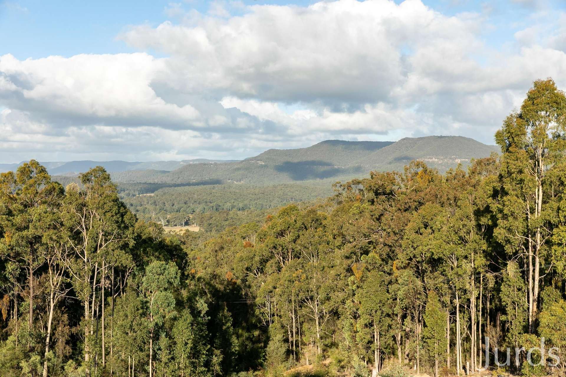 Congewai For Sale by Farmbuy.com - image 18