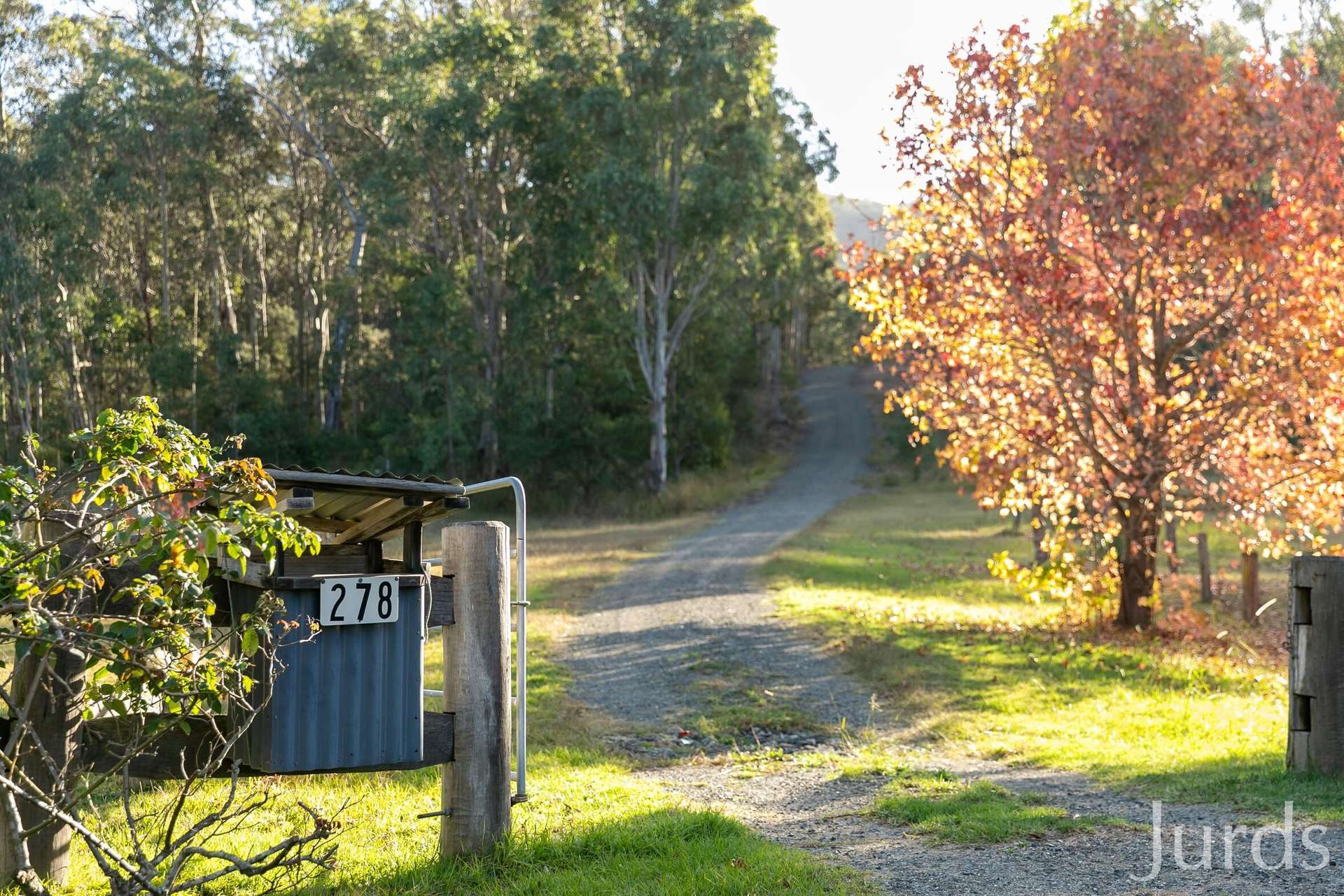 Congewai For Sale by Farmbuy.com - image 5