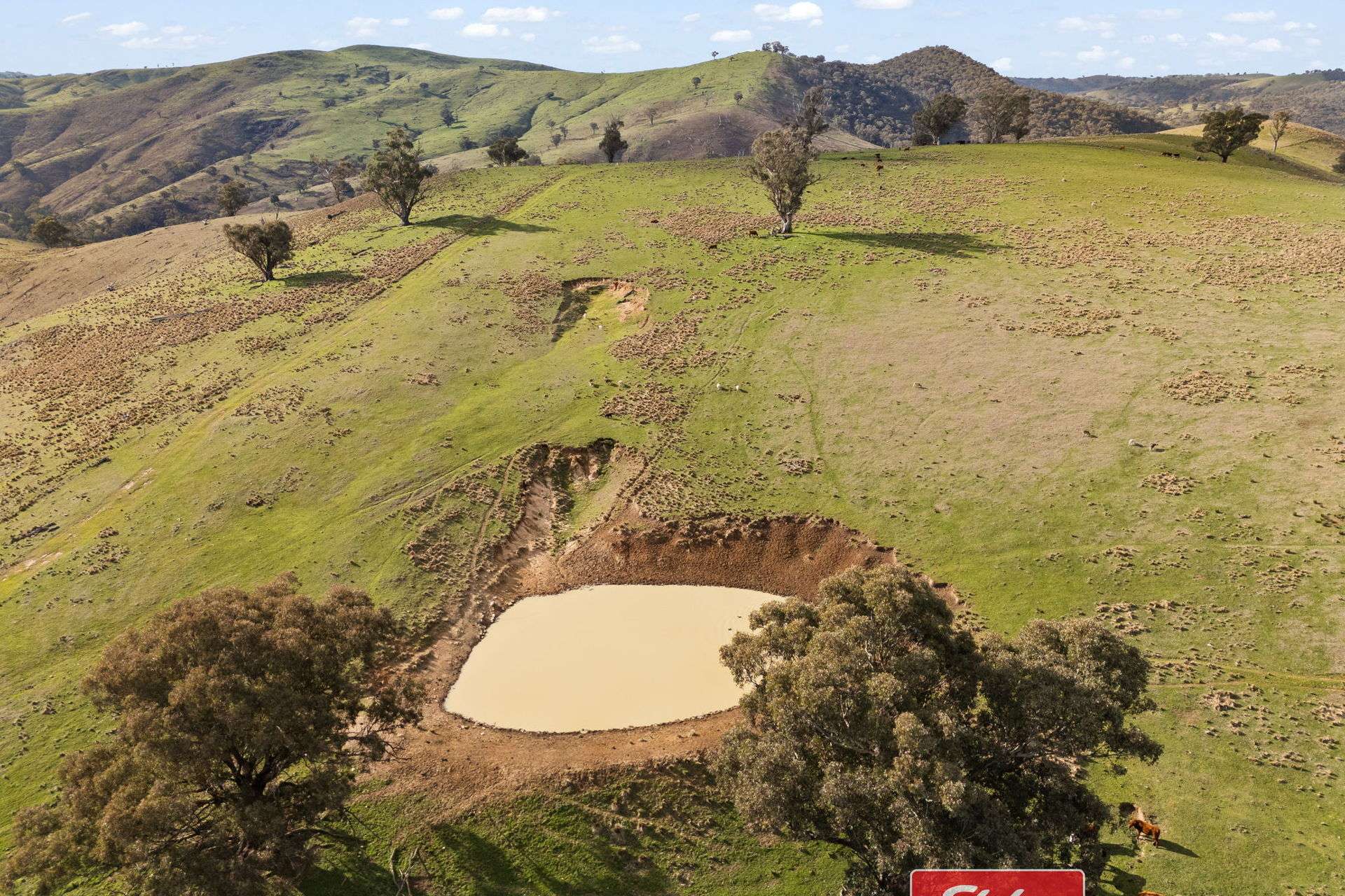 6843 Goulburn Road, Abercrombie River For Sale by Farmbuy.com - image 10