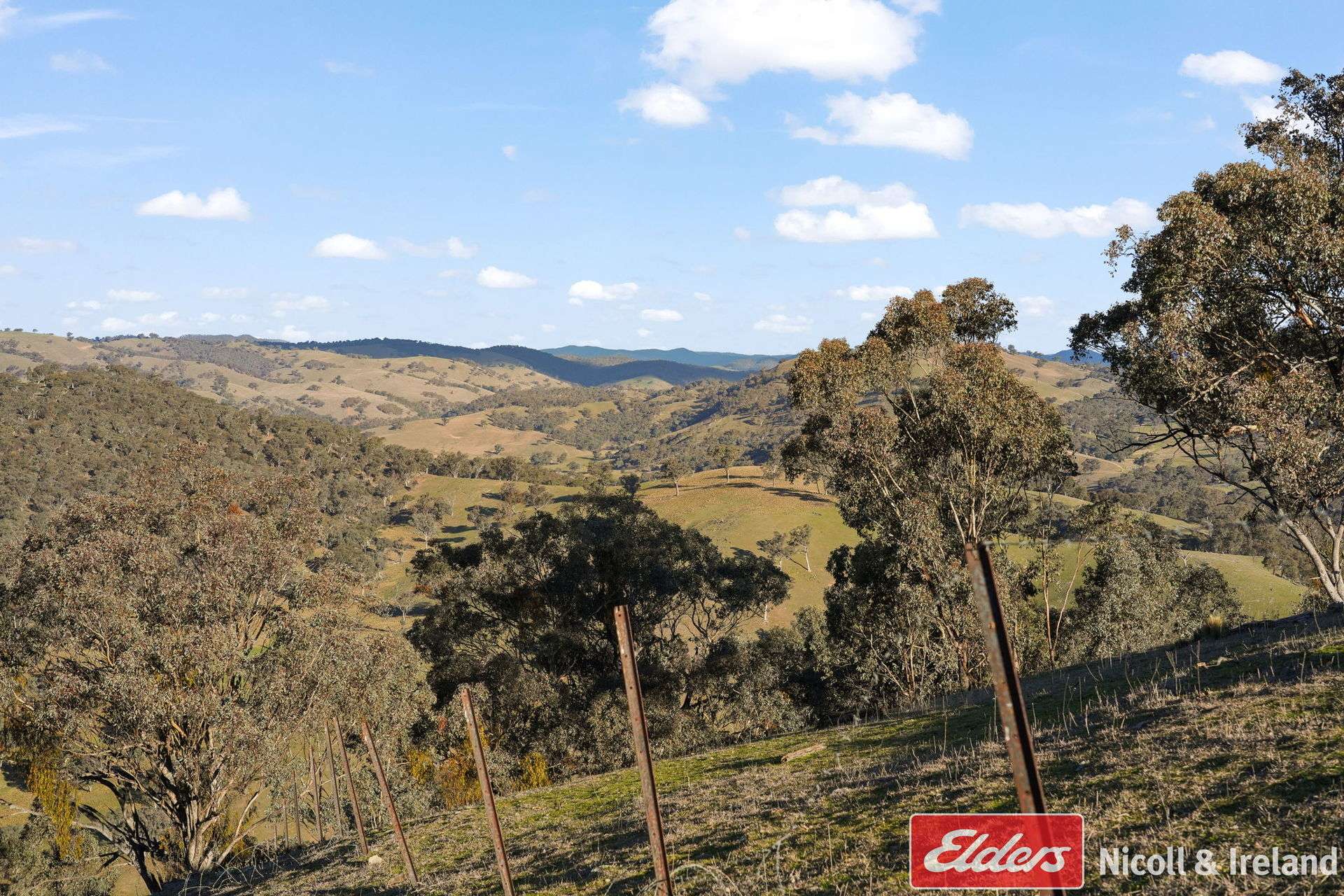 6843 Goulburn Road, Abercrombie River For Sale by Farmbuy.com - image 21