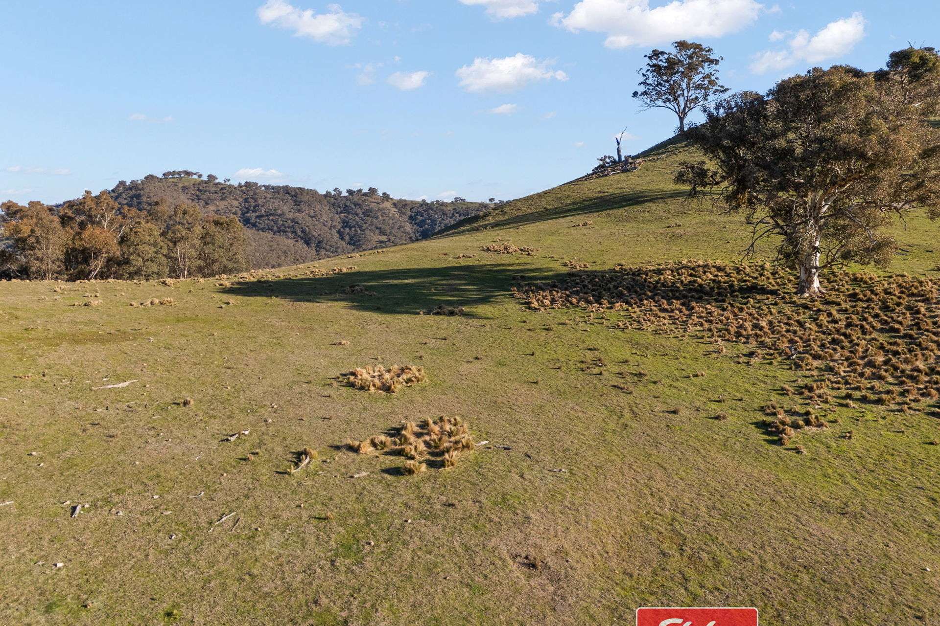 6843 Goulburn Road, Abercrombie River For Sale by Farmbuy.com - image 13