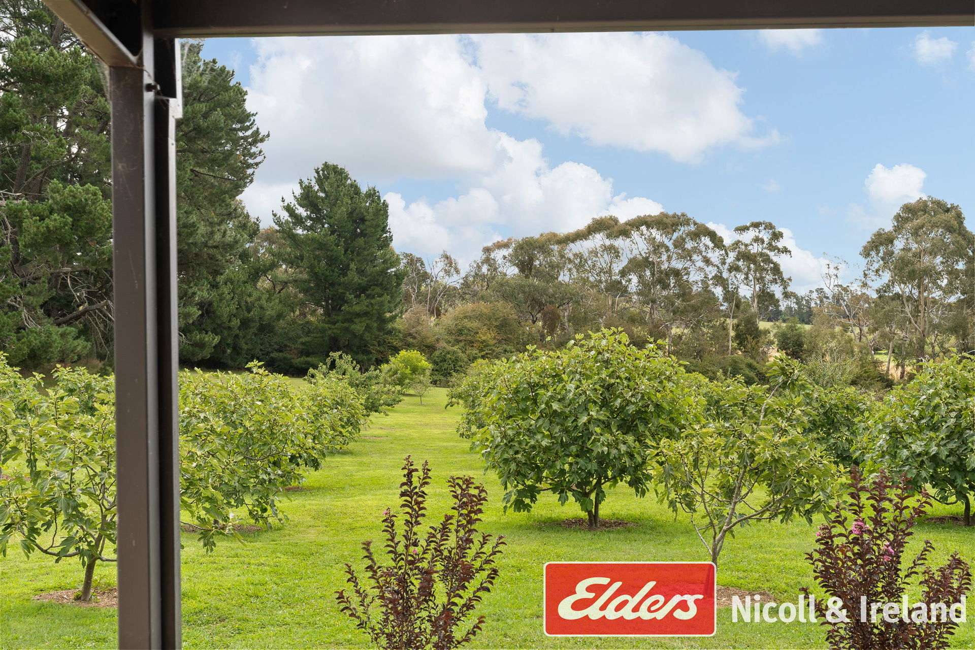 42 Wallace Lane, Canobolas For Sale by Farmbuy.com - image 29