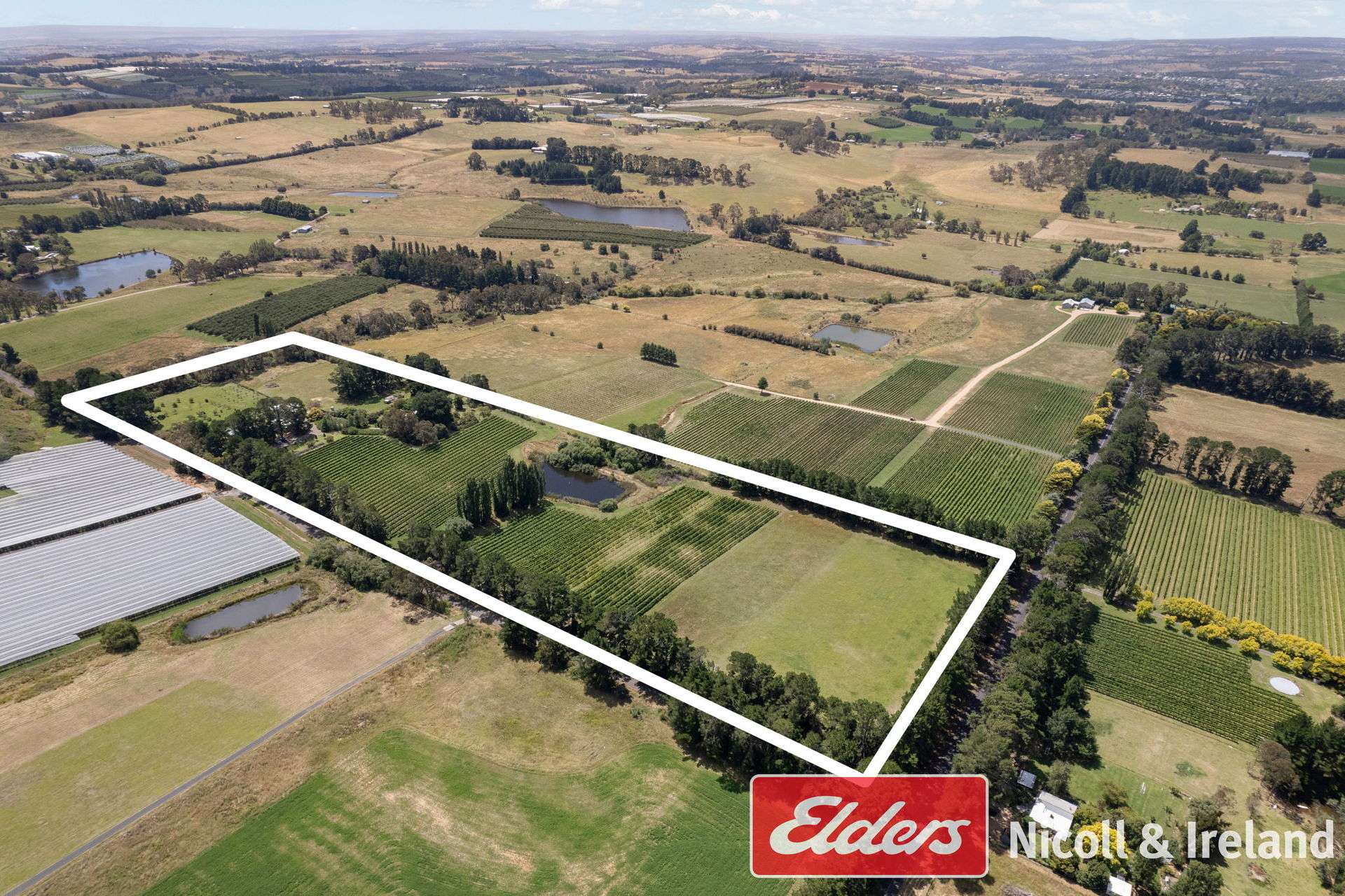 42 Wallace Lane, Canobolas For Sale by Farmbuy.com - image 31