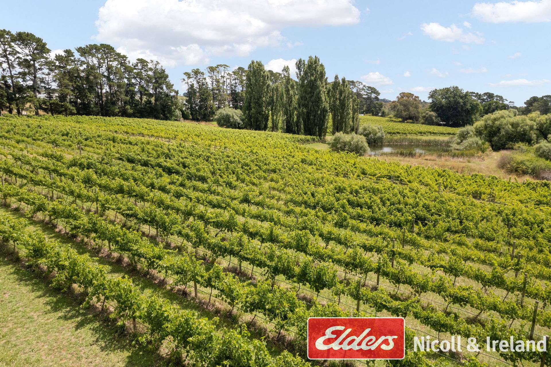 42 Wallace Lane, Canobolas For Sale by Farmbuy.com - image 33