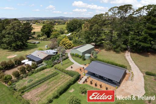 Farm For Sale - NSW - Canobolas - 2800 - MAKE HOME WHERE THE WINE IS… 