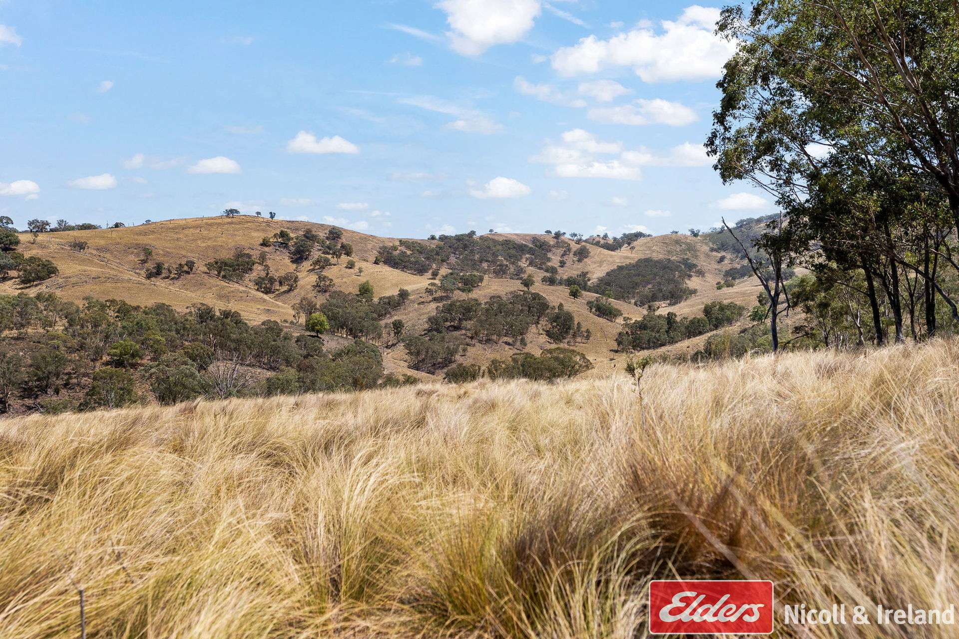 3548 The Bridle Track, Bruinbun For Sale by Farmbuy.com - image 23