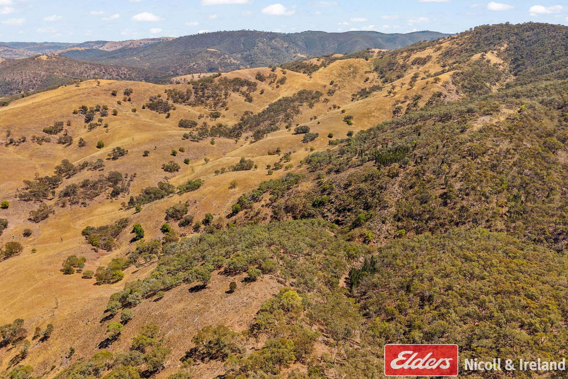3548 The Bridle Track, Bruinbun For Sale by Farmbuy.com - image 24