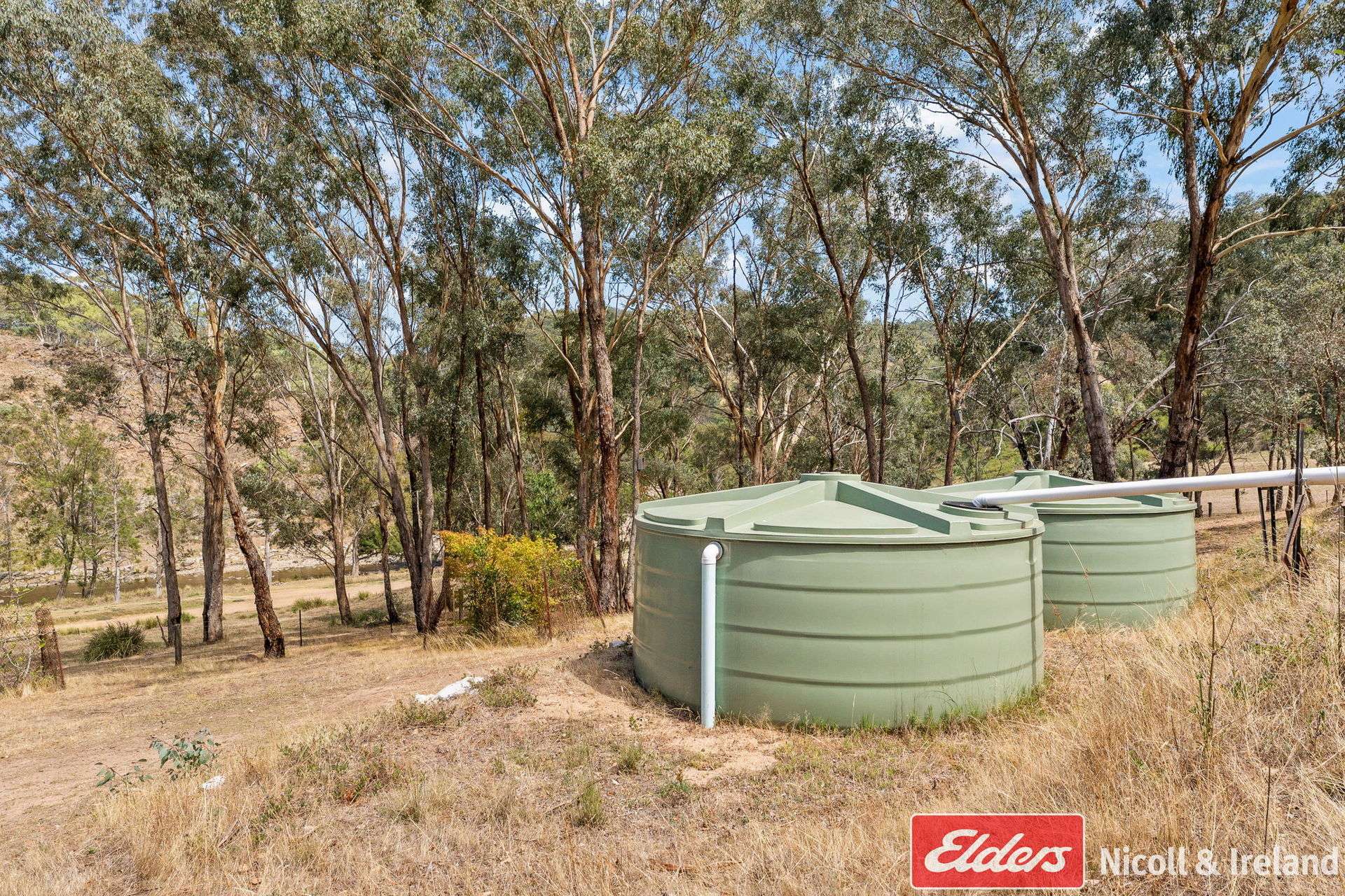 3548 The Bridle Track, Bruinbun For Sale by Farmbuy.com - image 19
