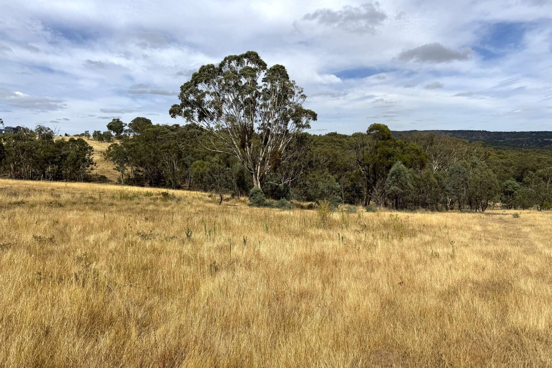 848 Kentucky Road, Neville For Sale by Farmbuy.com - image 6