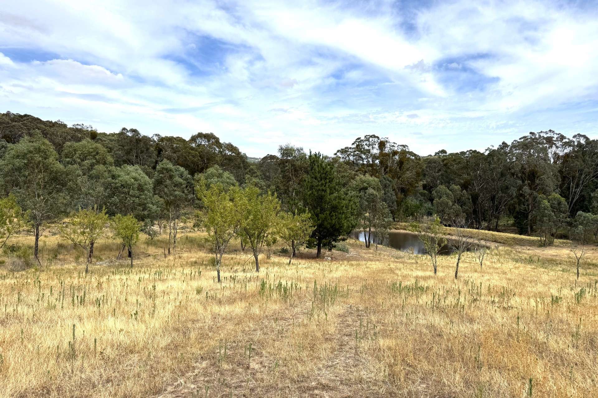 848 Kentucky Road, Neville For Sale by Farmbuy.com - image 3