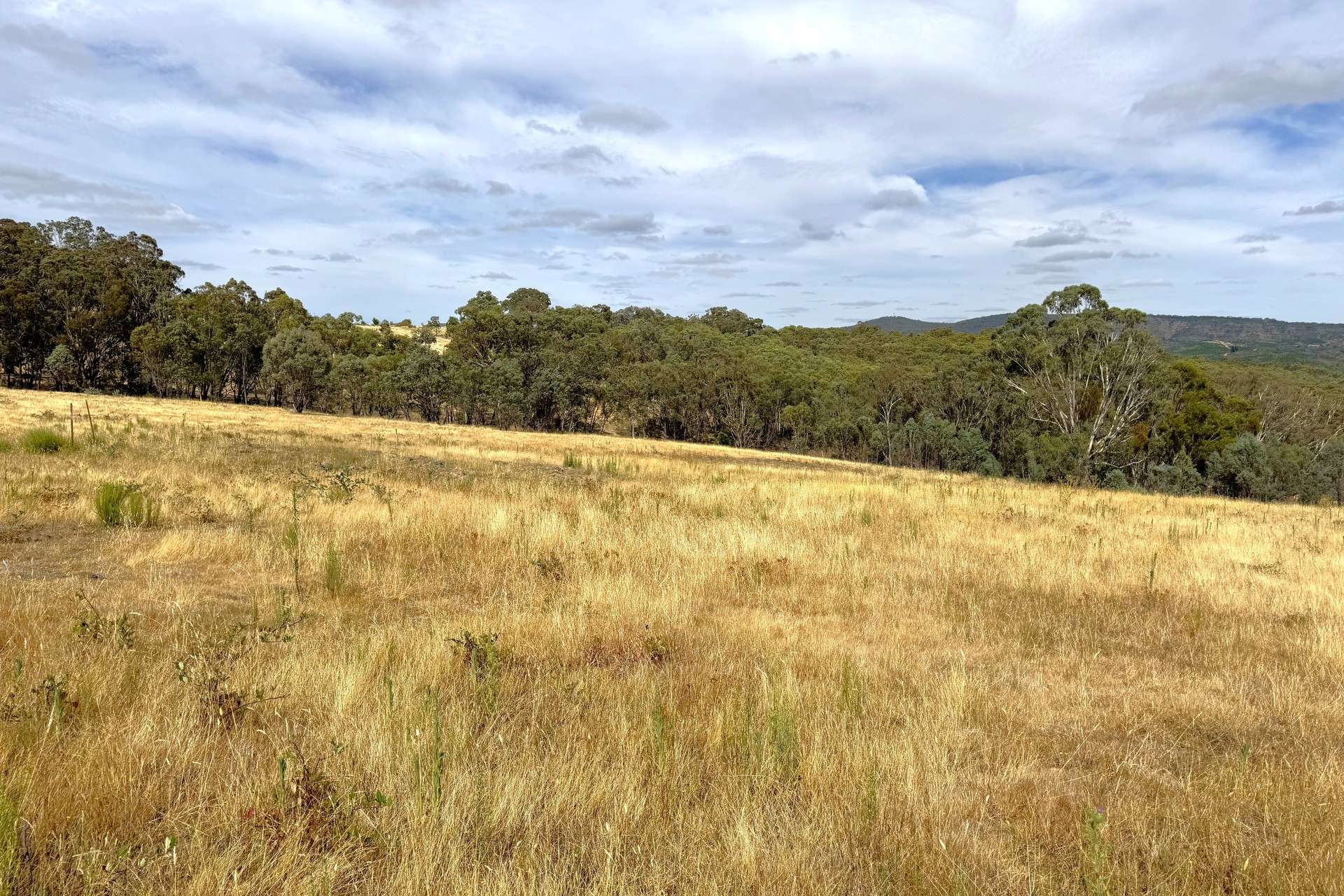 848 Kentucky Road, Neville For Sale by Farmbuy.com - image 4