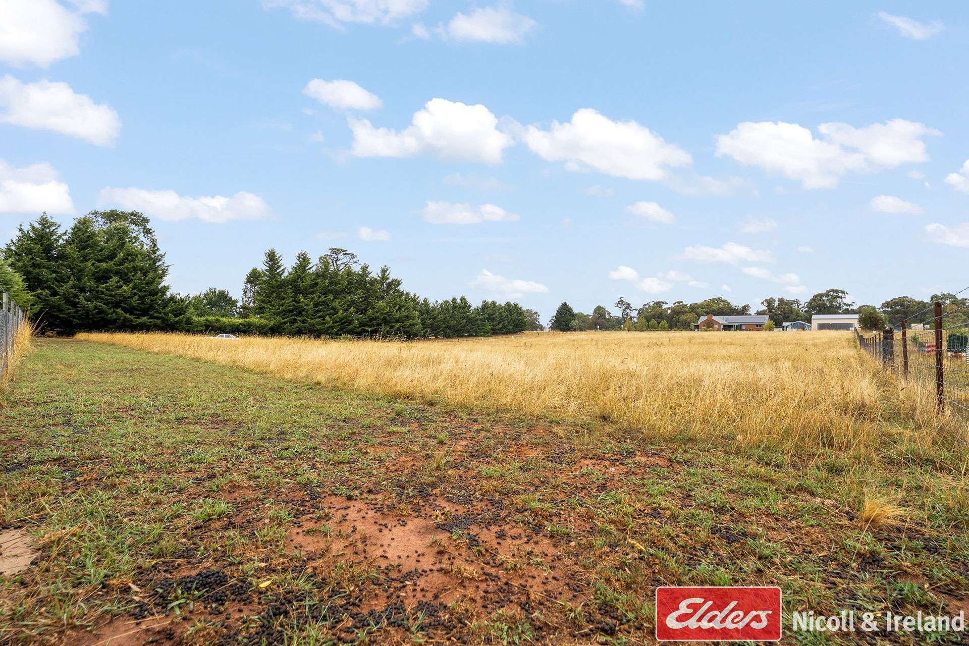 70 Kentucky Road, Neville For Sale by Farmbuy.com - image 19