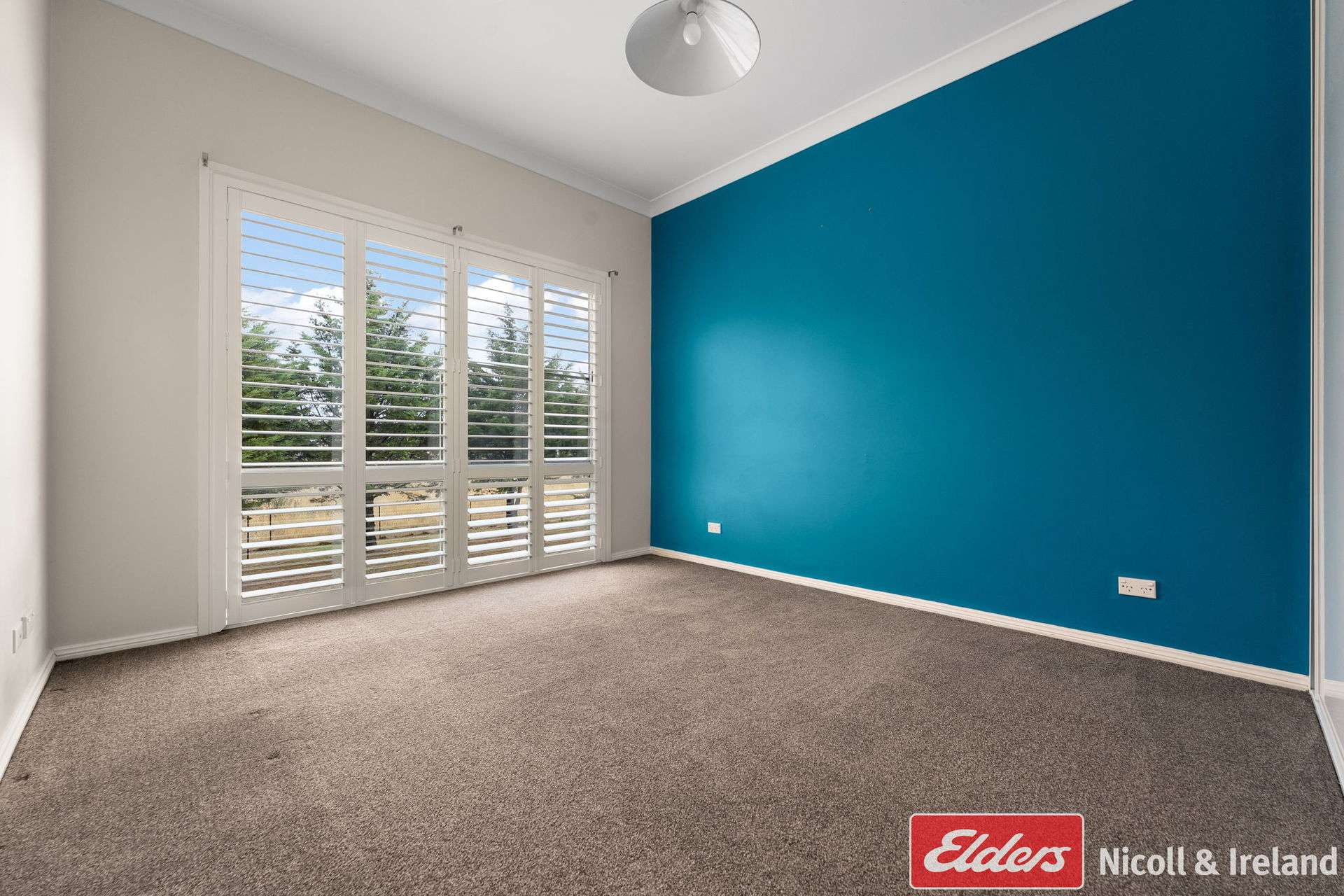 70 Kentucky Road, Neville For Sale by Farmbuy.com - image 11