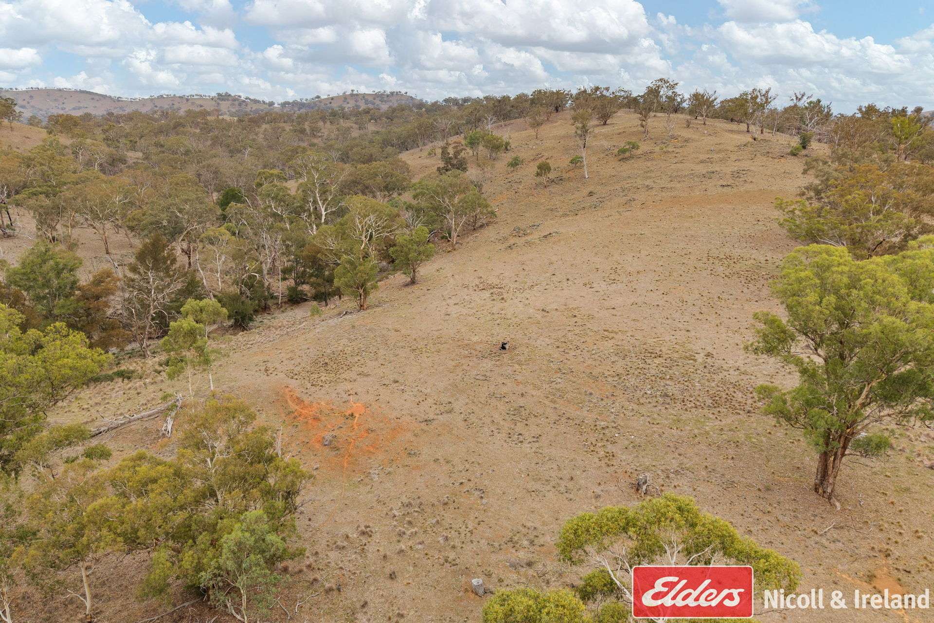 2652 Ilford Road, Sofala For Sale by Farmbuy.com - image 10