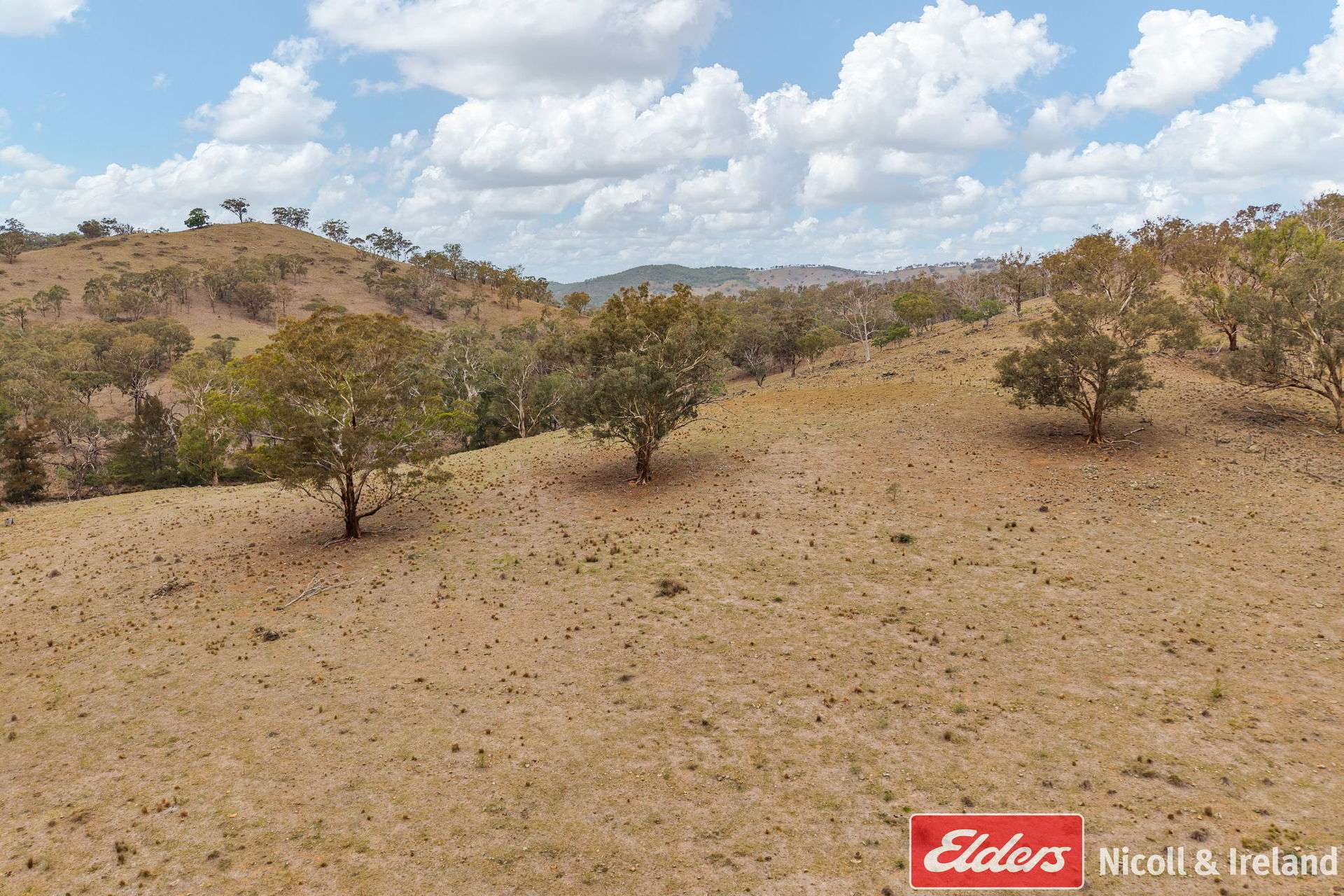 2652 Ilford Road, Sofala For Sale by Farmbuy.com - image 8