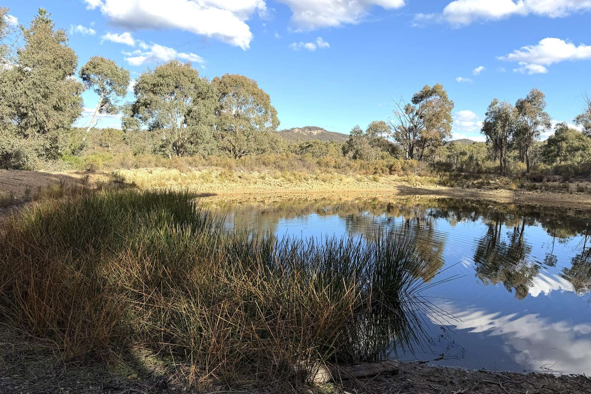 842 Red Springs Road, Ben Bullen For Sale by Farmbuy.com - image 2