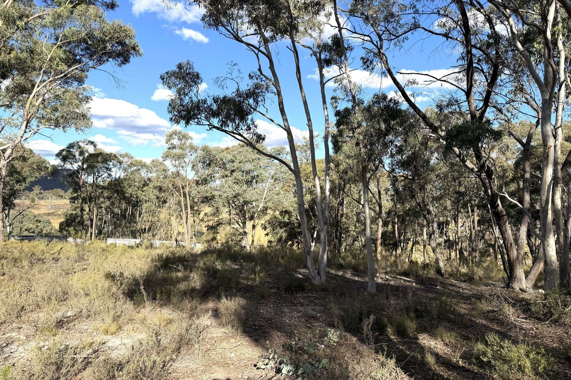 842 Red Springs Road, Ben Bullen For Sale by Farmbuy.com - image 7