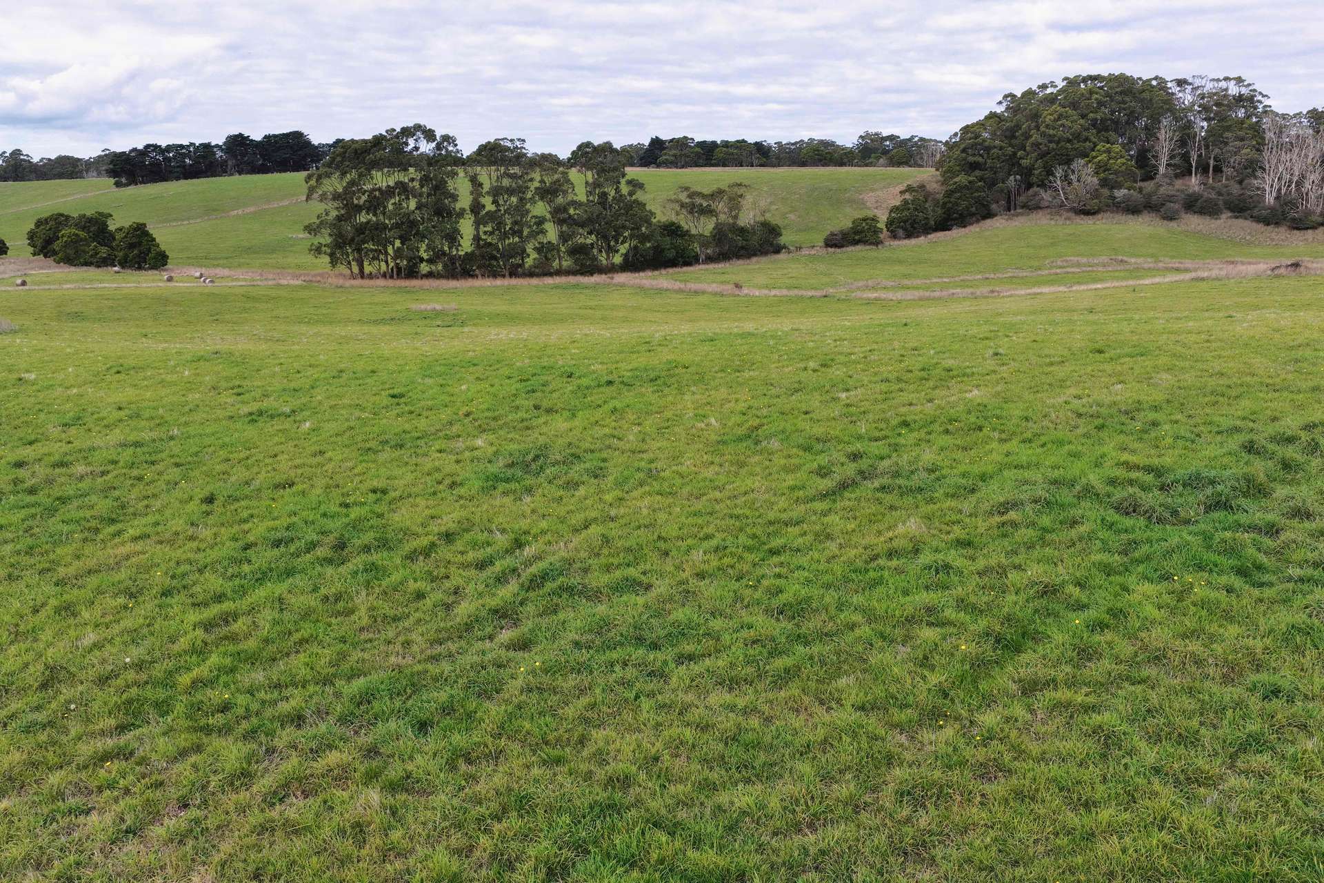 699 Mengha Road, Forest For Sale by Farmbuy.com - image 2