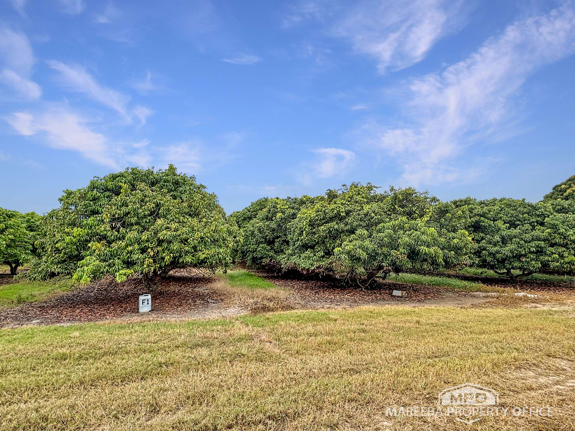 526 Mareeba-Dimbulah Road, Mareeba For Sale by Farmbuy.com - image 12