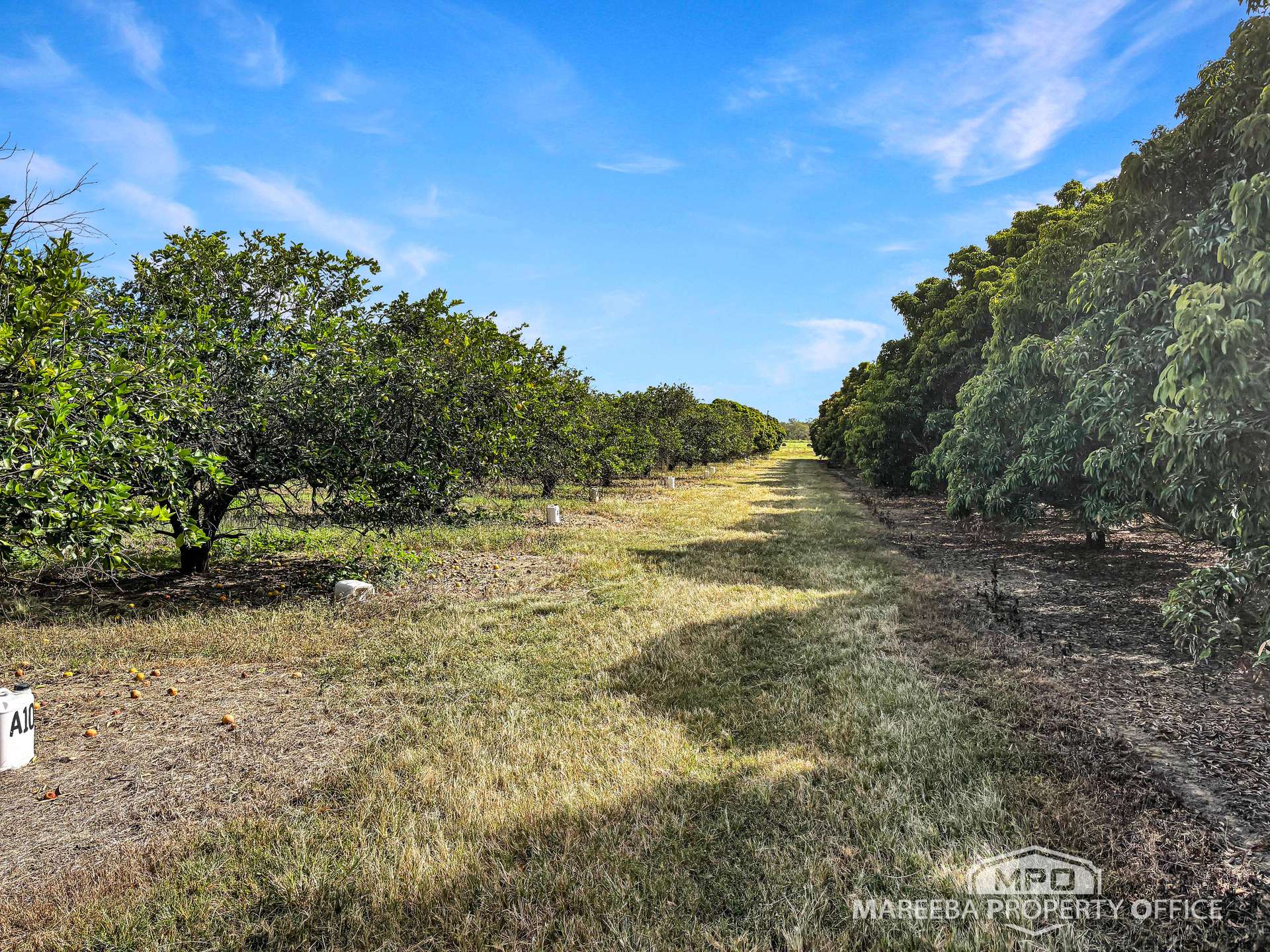 526 Mareeba-Dimbulah Road, Mareeba For Sale by Farmbuy.com - image 15