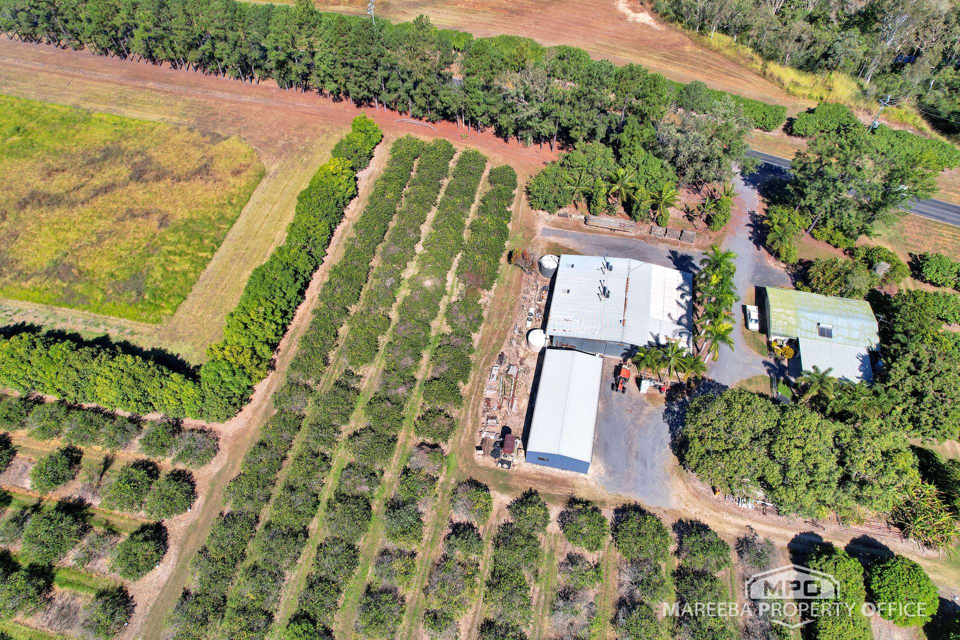 526 Mareeba-Dimbulah Road, Mareeba For Sale by Farmbuy.com - image 17