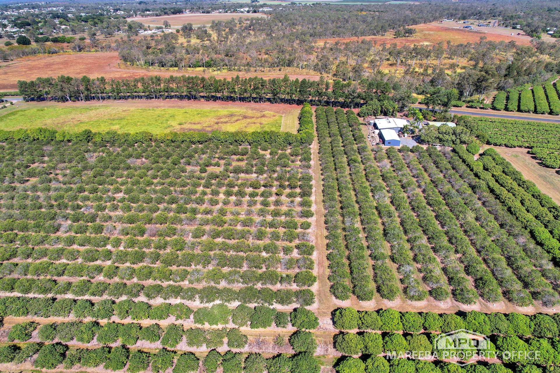 526 Mareeba-Dimbulah Road, Mareeba For Sale by Farmbuy.com - image 6