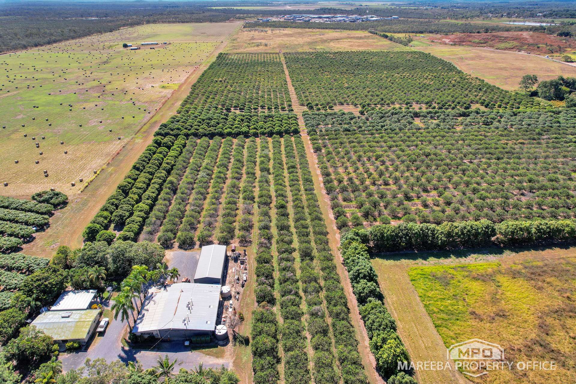 526 Mareeba-Dimbulah Road, Mareeba For Sale by Farmbuy.com - image 1