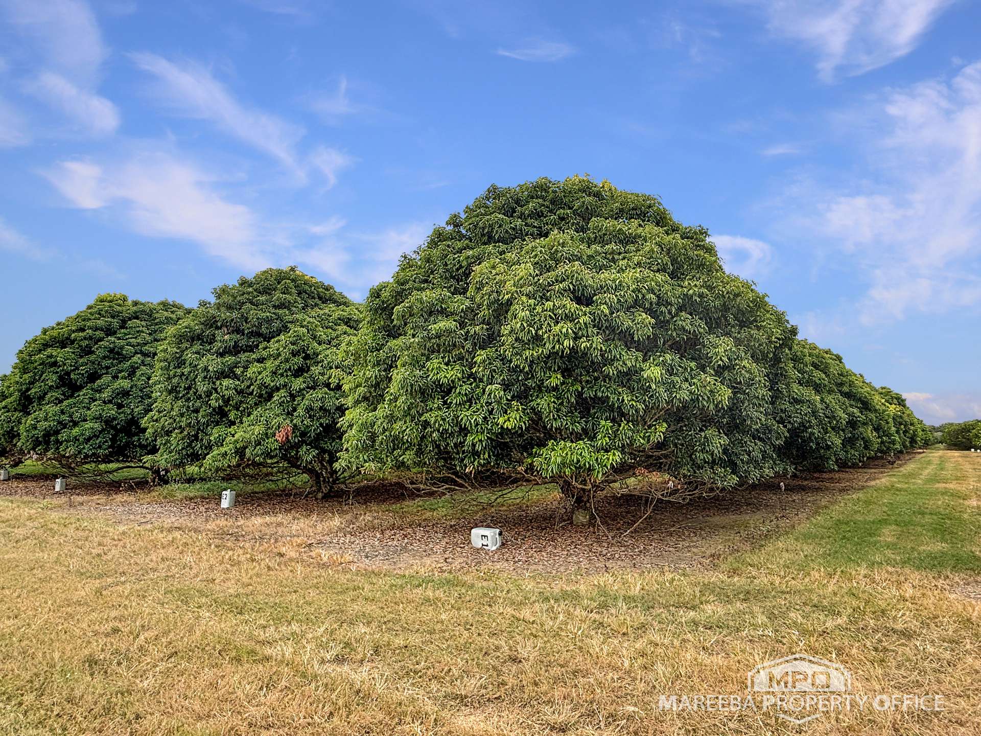 526 Mareeba-Dimbulah Road, Mareeba For Sale by Farmbuy.com - image 6