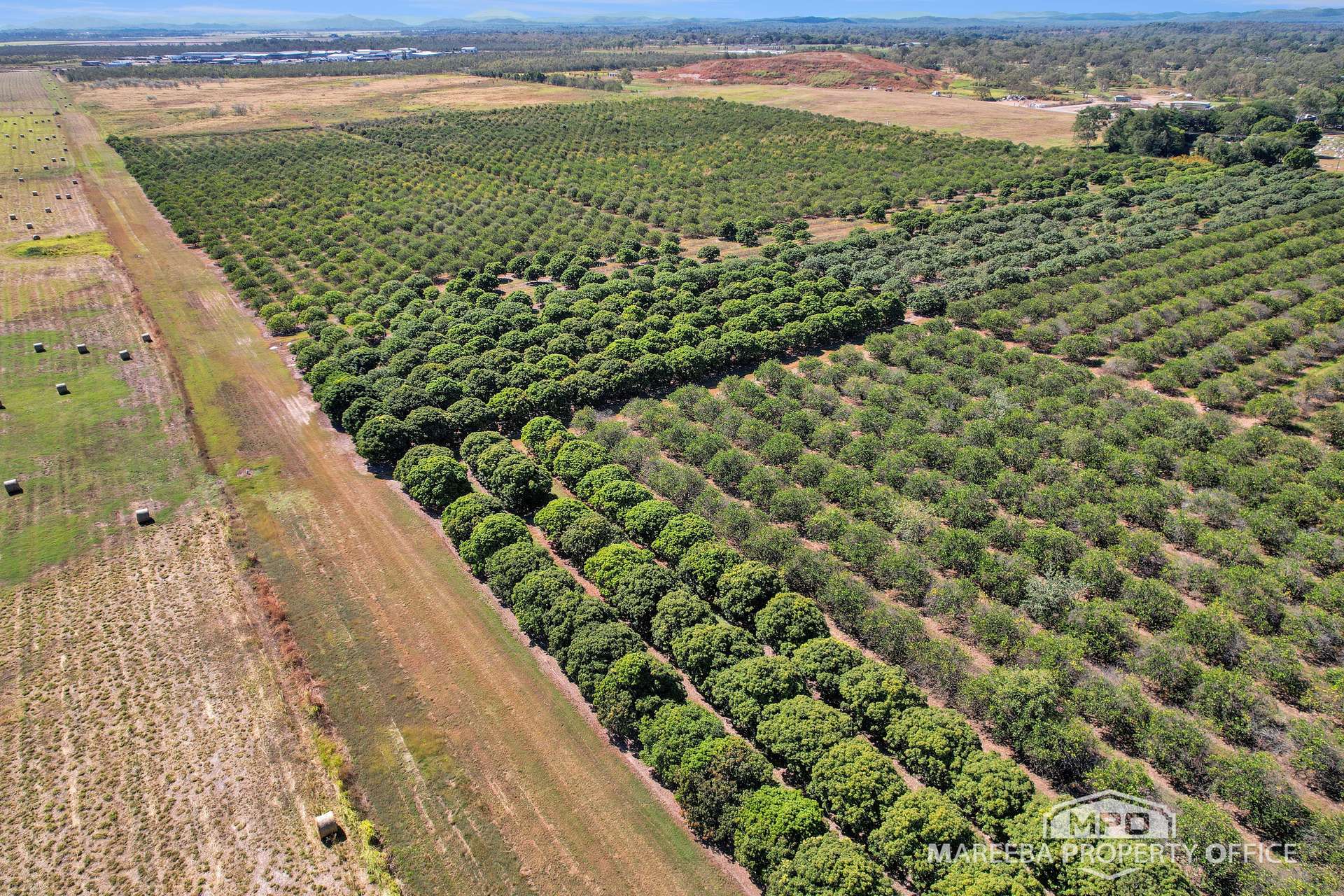 526 Mareeba-Dimbulah Road, Mareeba For Sale by Farmbuy.com - image 8