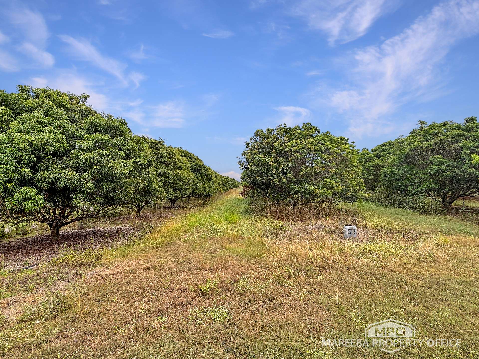 526 Mareeba-Dimbulah Road, Mareeba For Sale by Farmbuy.com - image 13