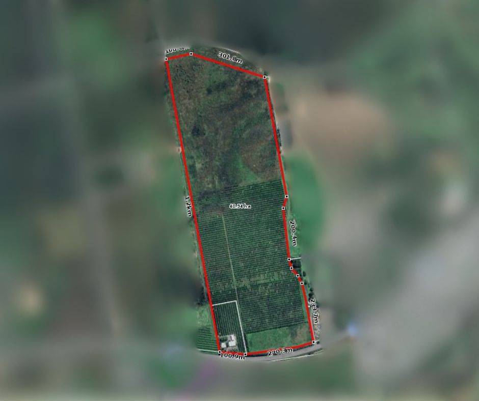 526 Mareeba-Dimbulah Road, Mareeba For Sale by Farmbuy.com - image 22