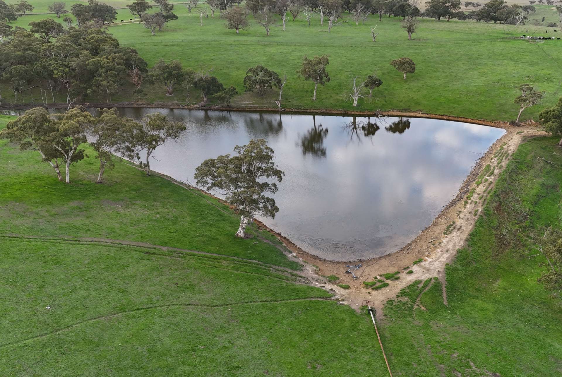 A22 Cole Crossing Road, Mount Magnificent For Sale by Farmbuy.com - image 9