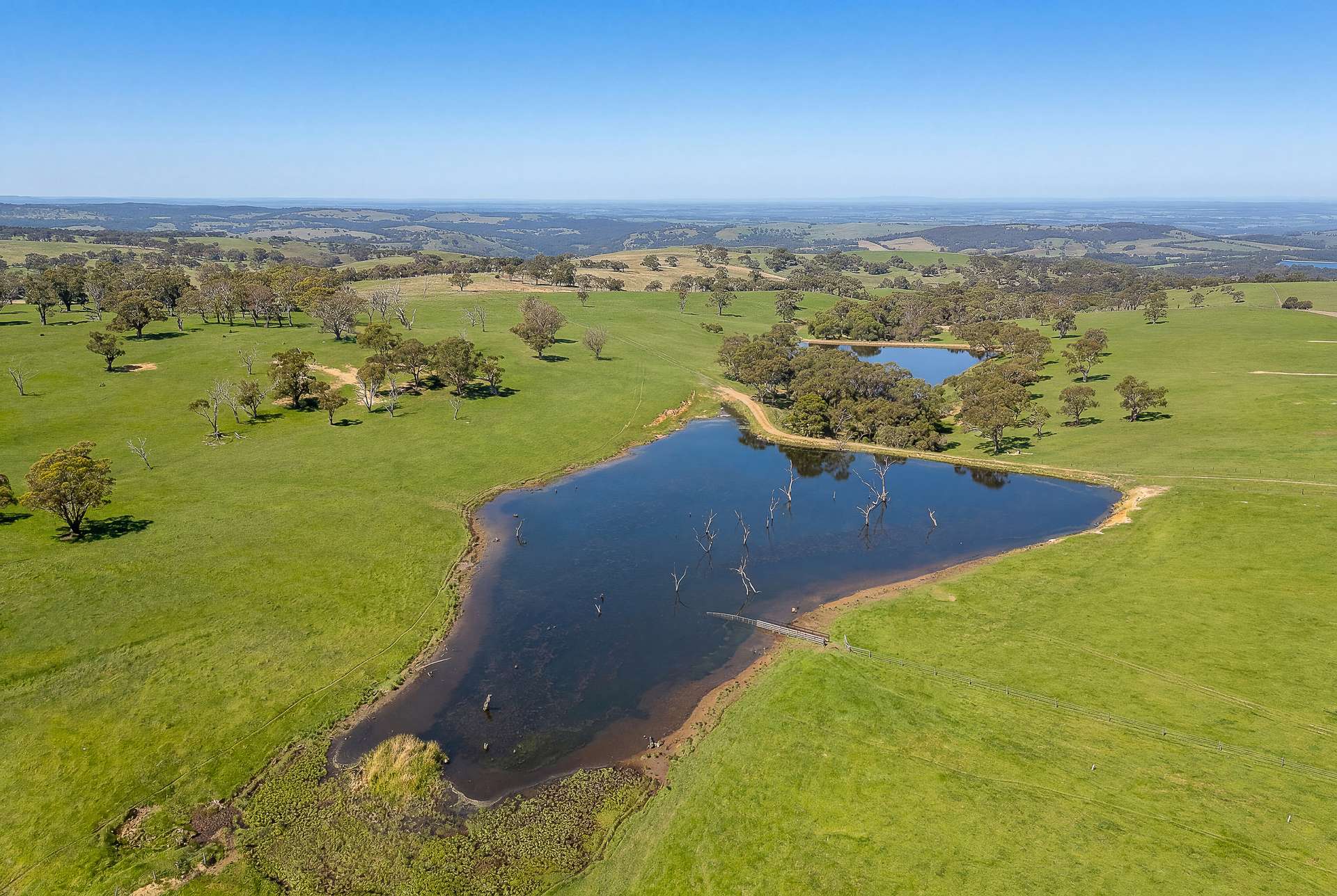 A22 Cole Crossing Road, Mount Magnificent For Sale by Farmbuy.com - image 3