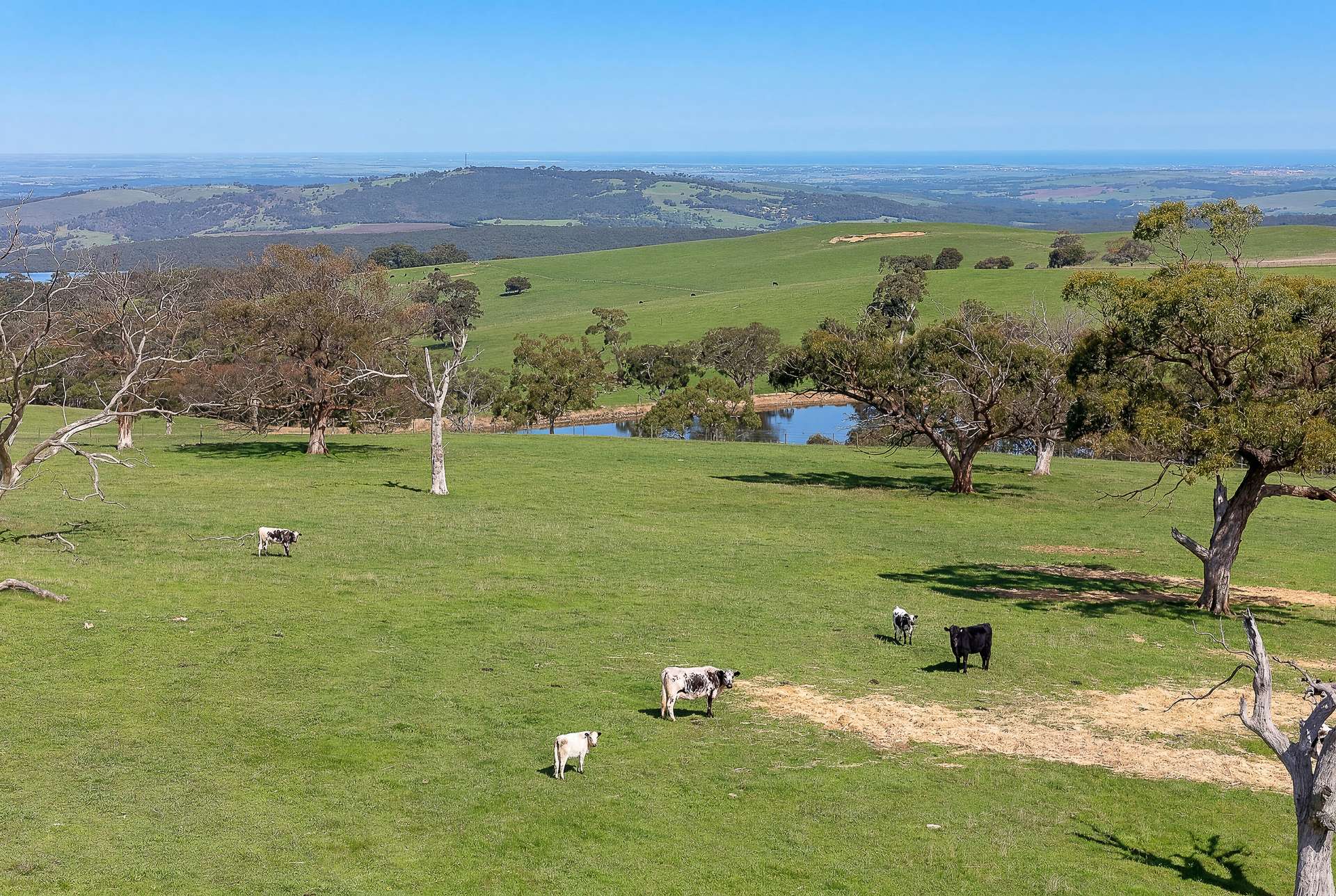 A22 Cole Crossing Road, Mount Magnificent For Sale by Farmbuy.com - image 6