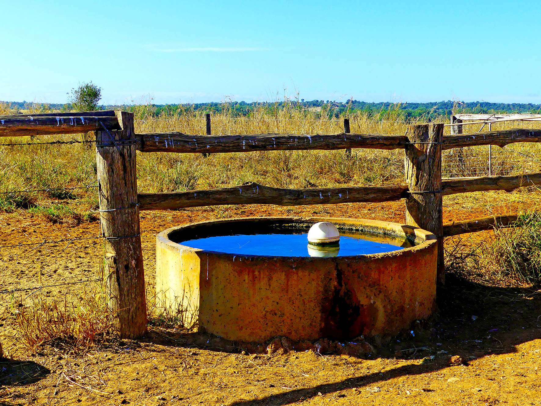 "KENDAH "795 Romers Road, Wowan For Sale by Farmbuy.com - image 16