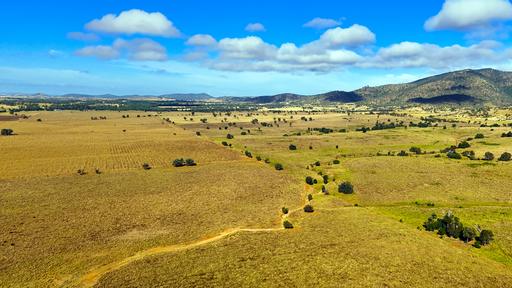 Farm For Sale - QLD - Wowan - 4702 - Sweet soils + Sweet feed = Super Sweet Cattle Country 