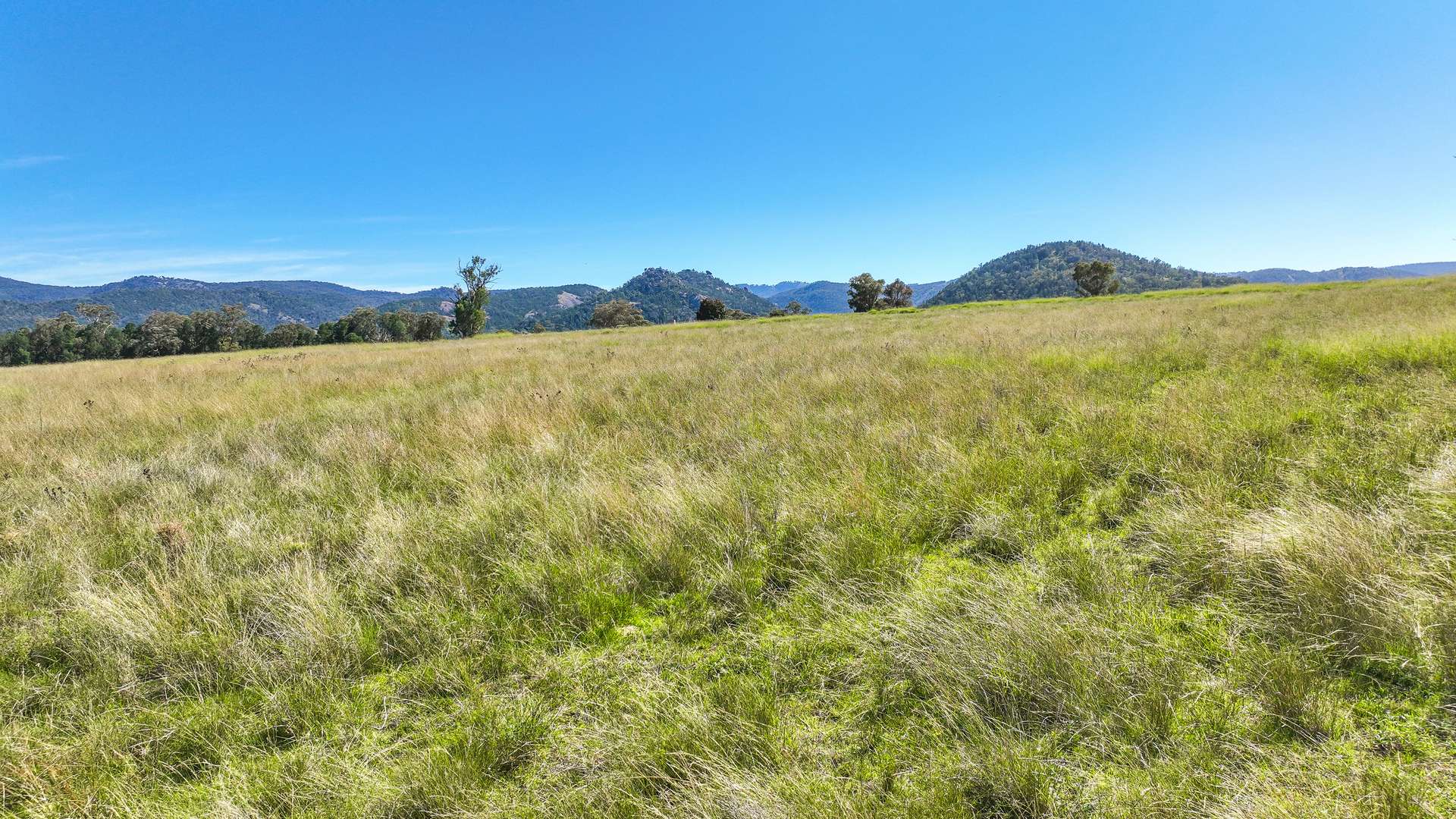 2174 New England Highway, Moonbi For Sale by Farmbuy.com - image 19