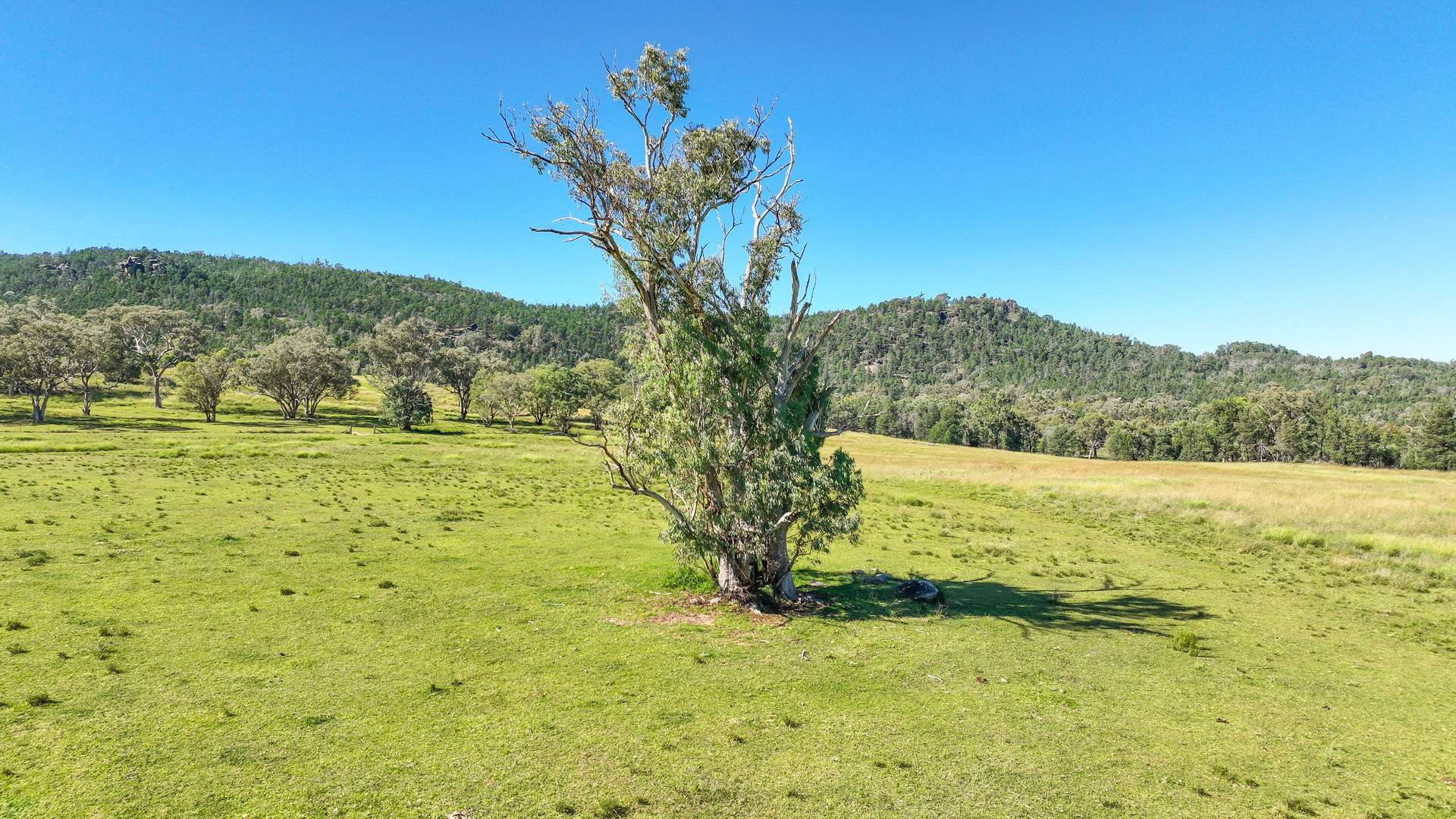 2174 New England Highway, Moonbi For Sale by Farmbuy.com - image 20