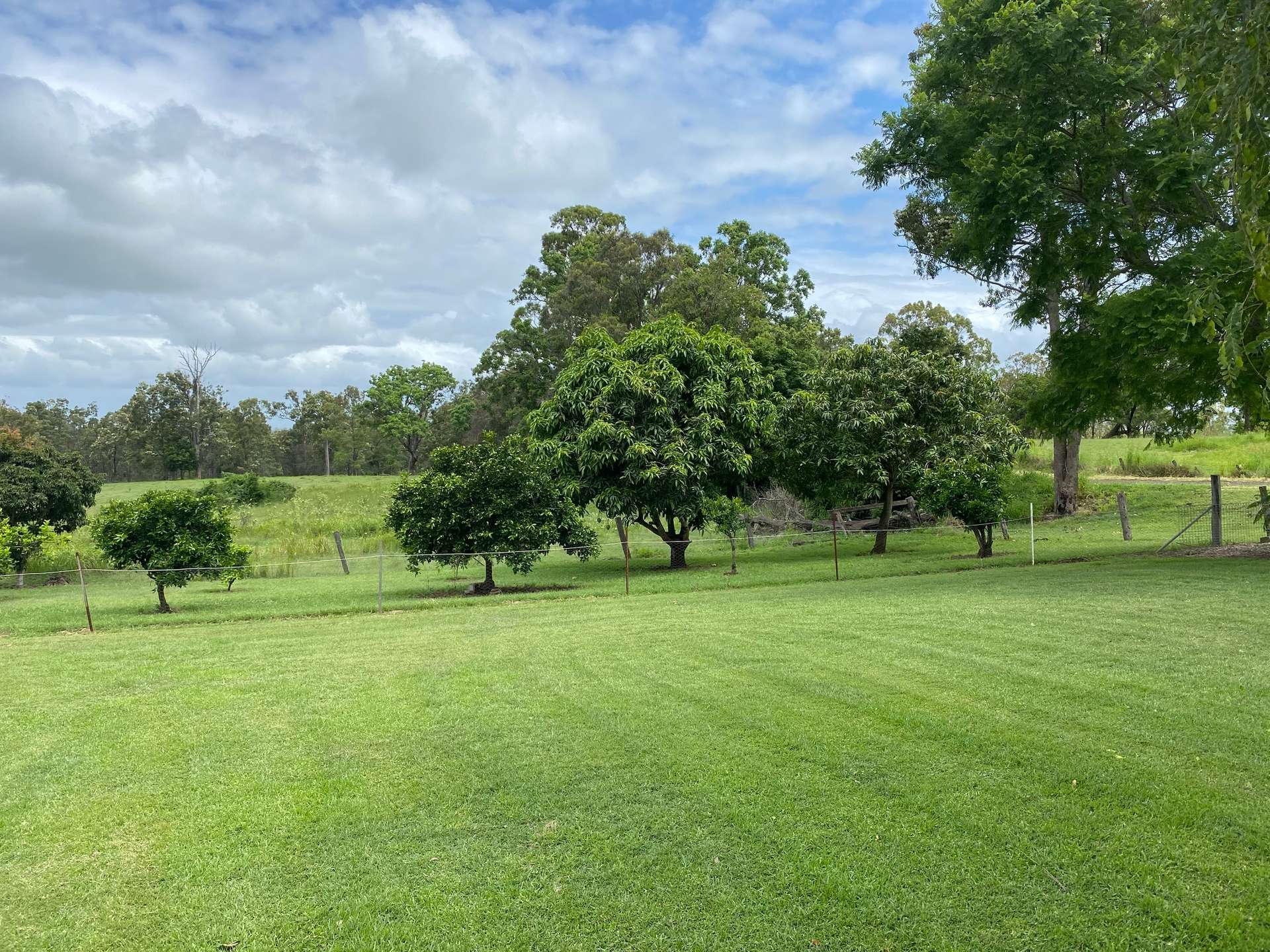 220 Upper Stratheden Road, Kyogle For Sale by Farmbuy.com - image 21