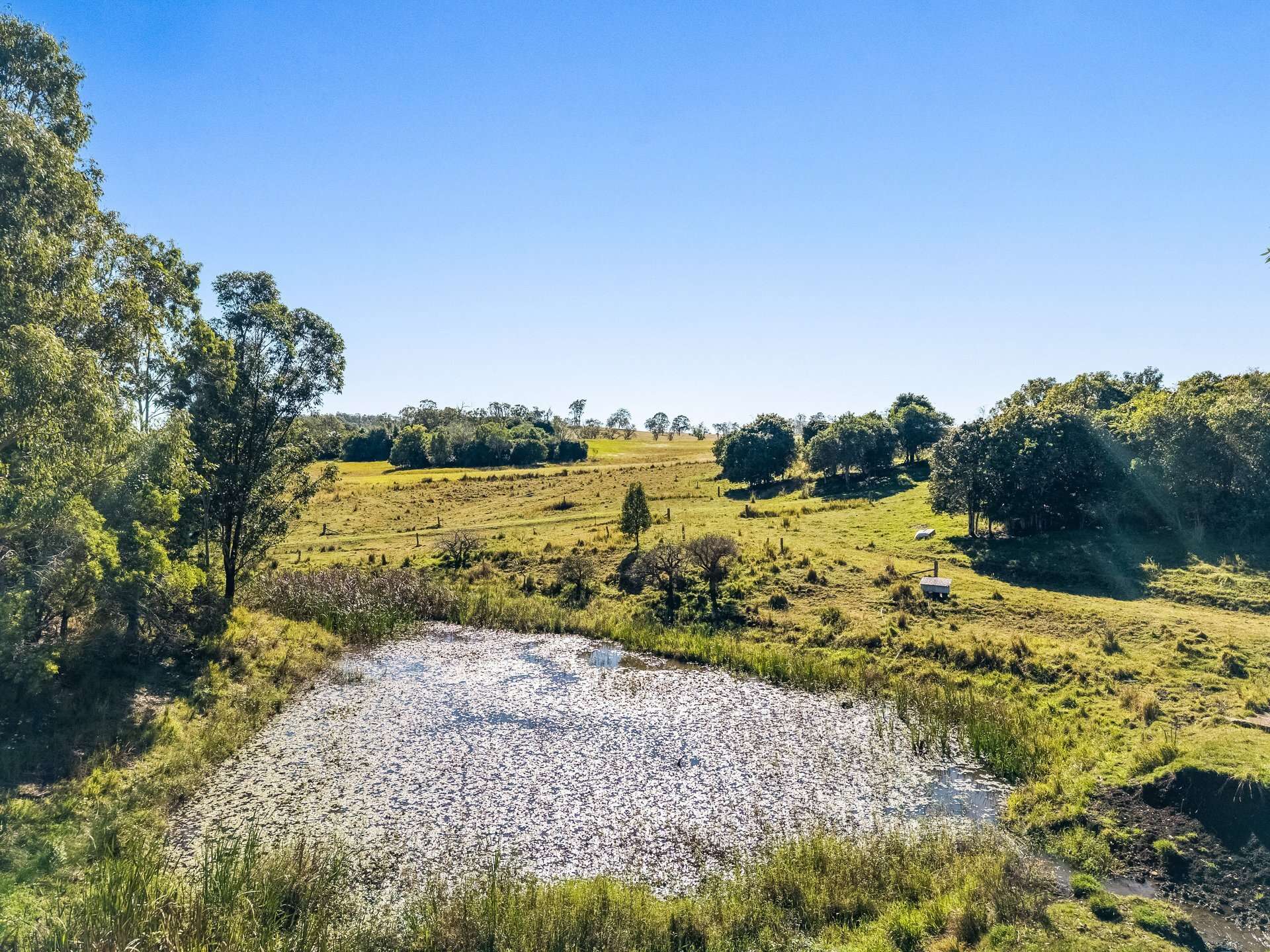 250 Upper Stratheden Road, Casino For Sale by Farmbuy.com - image 7
