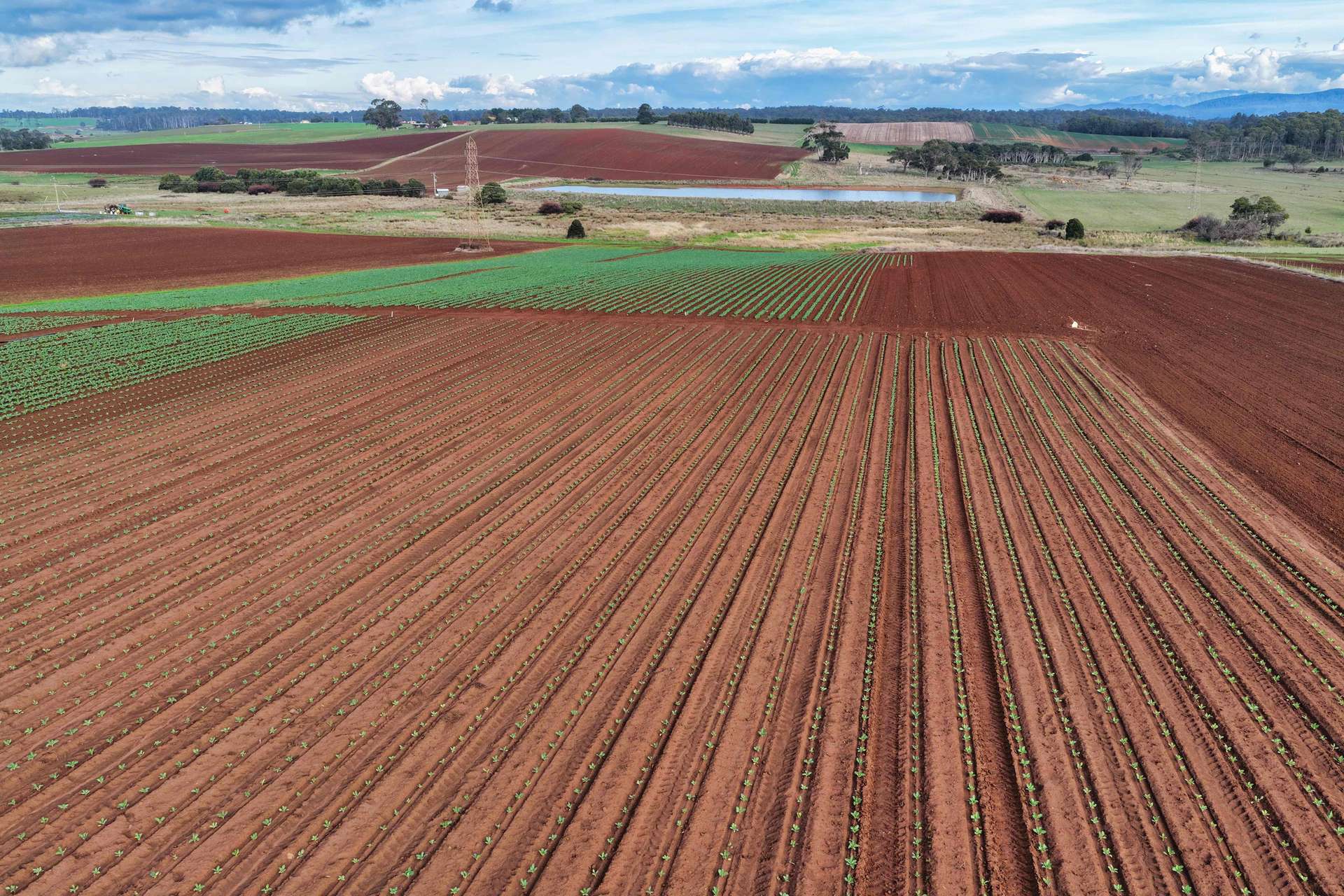 384 Port Sorrell Road, Wesley Vale For Sale by Farmbuy.com - image 2