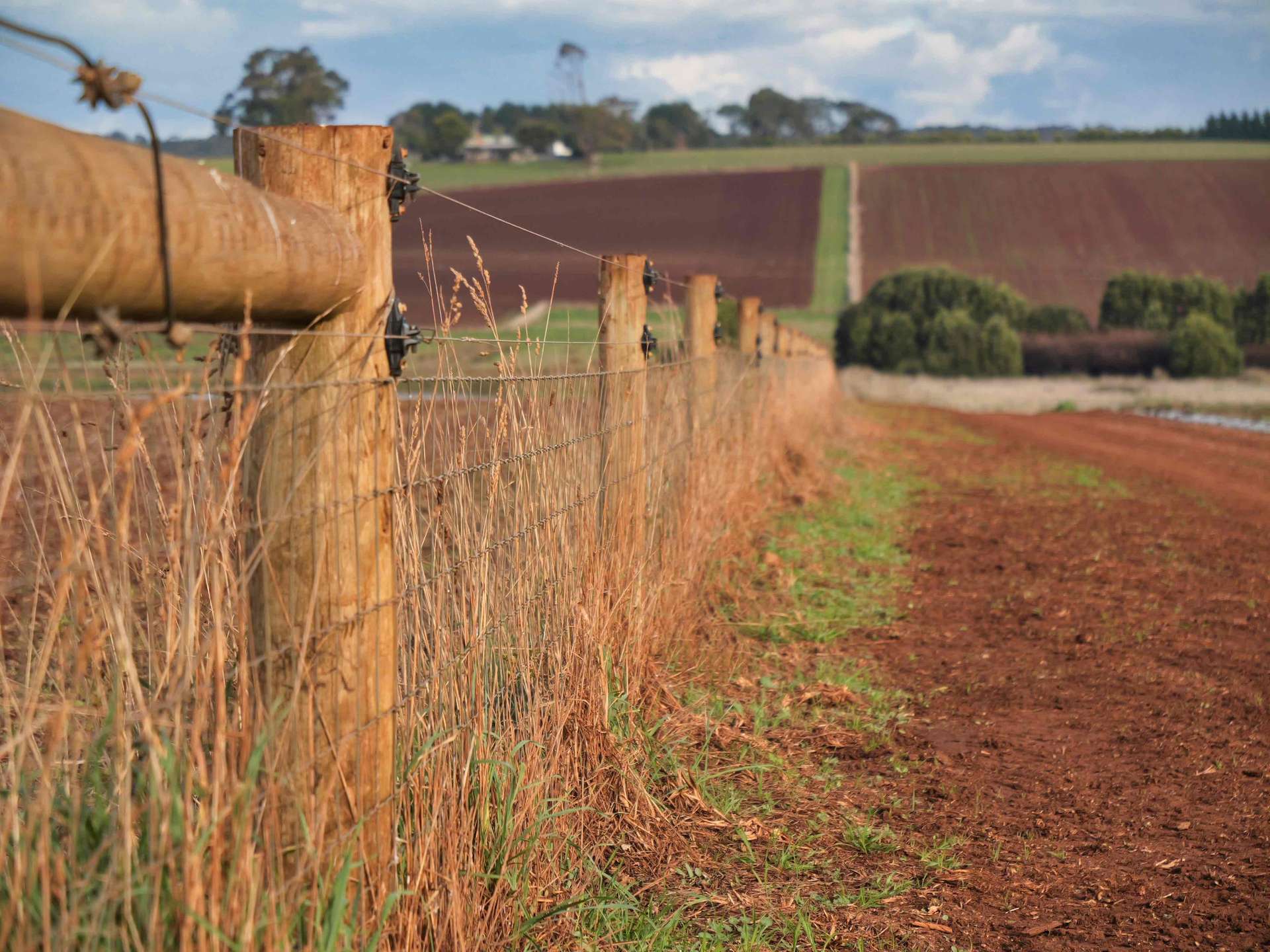 384 Port Sorrell Road, Wesley Vale For Sale by Farmbuy.com - image 8