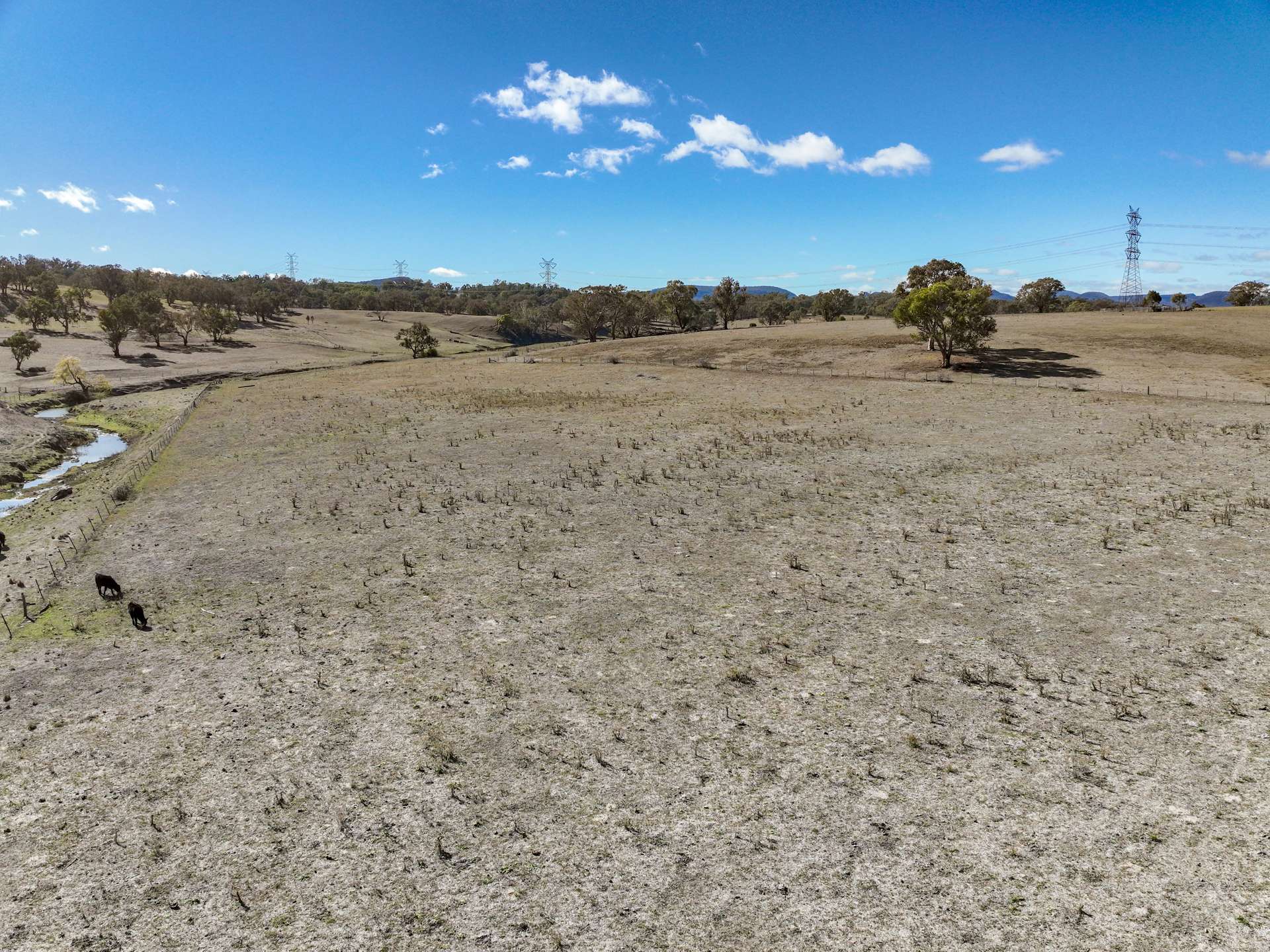 3023 Lue Road, Lue For Sale by Farmbuy.com - image 4