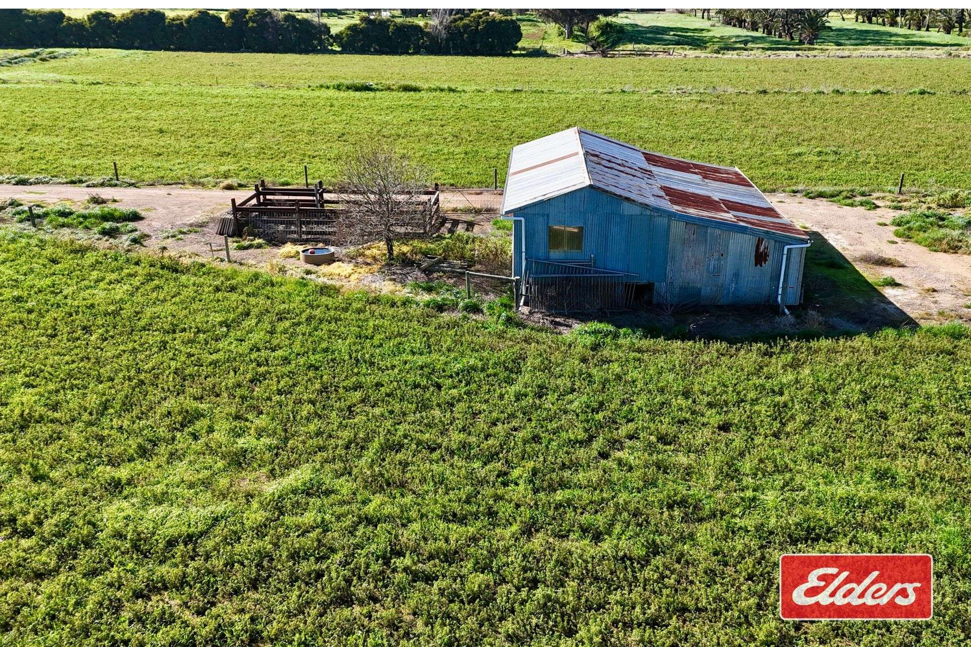 1171 Middleton Road, Echuca For Sale by Farmbuy.com - image 18