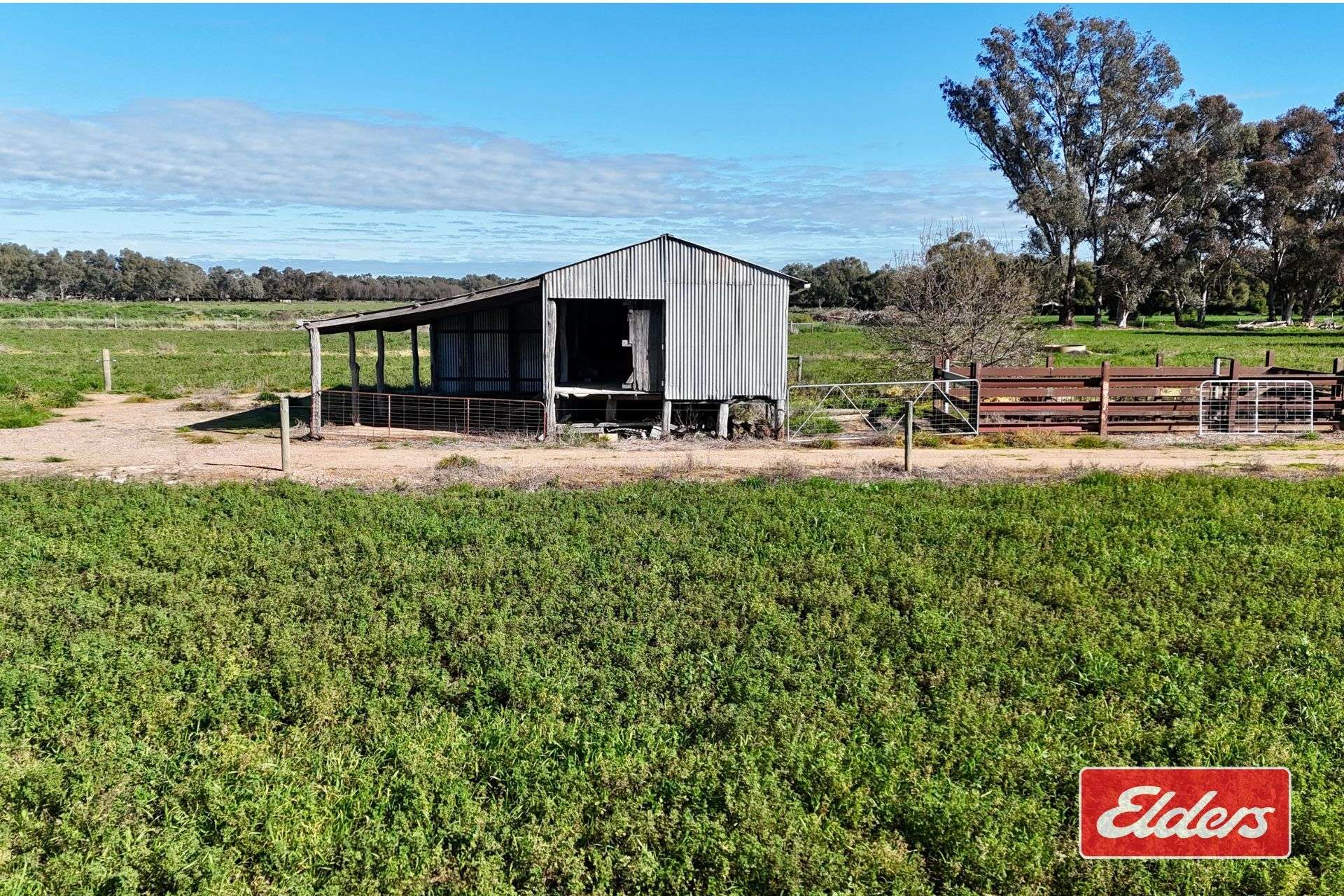 1171 Middleton Road, Echuca For Sale by Farmbuy.com - image 17