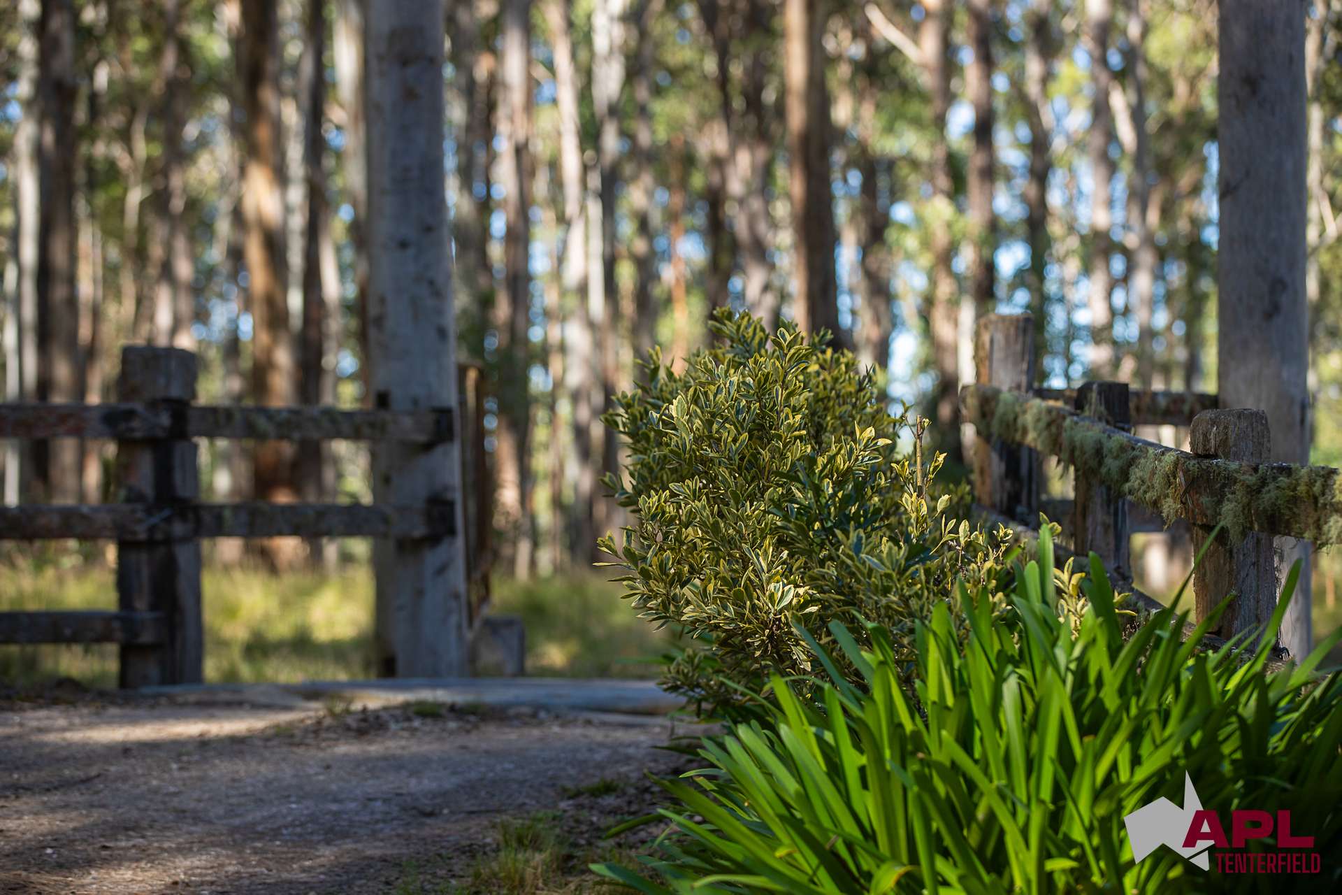 1600 Billirimba Road, Tenterfield For Sale by Farmbuy.com - image 34
