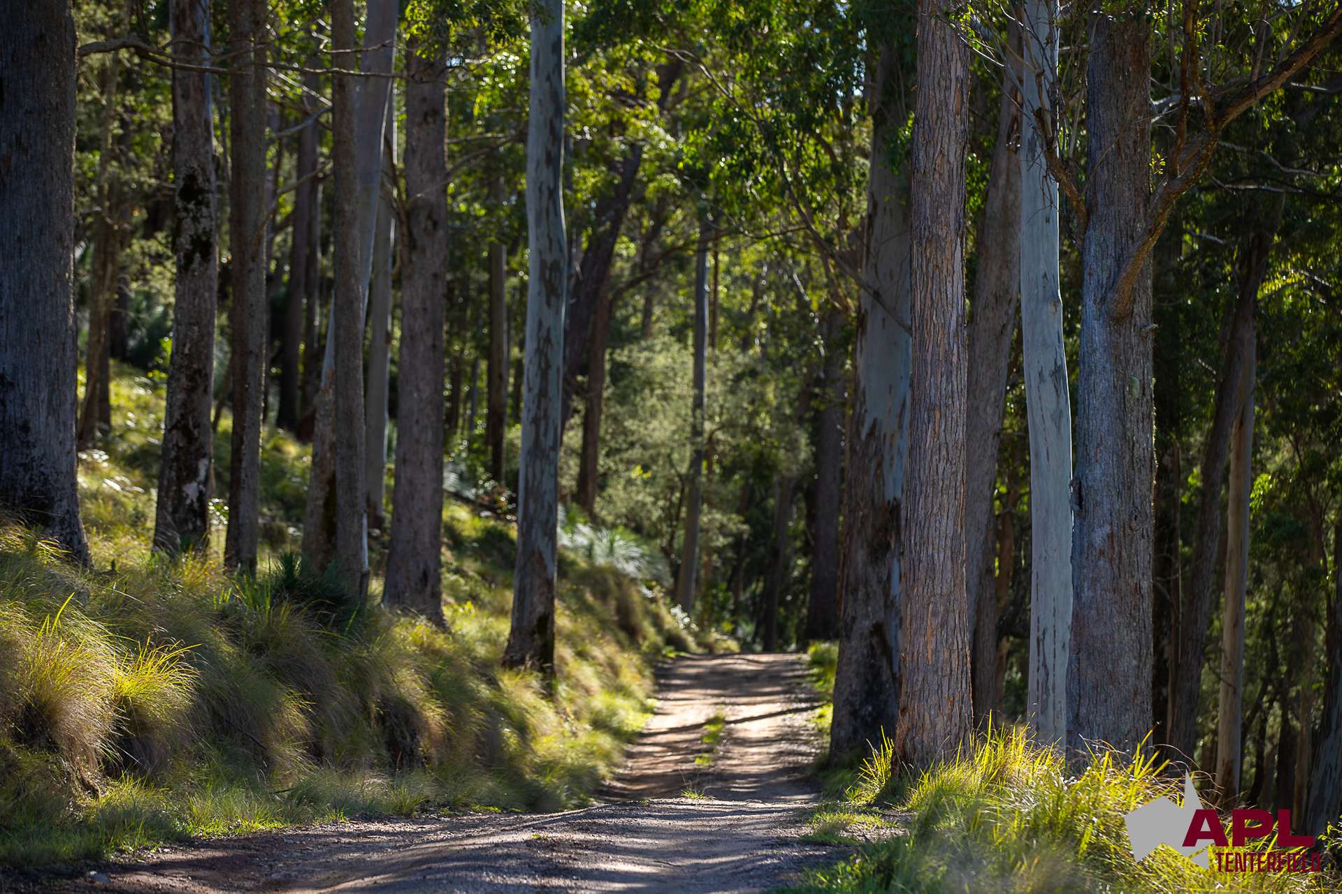 1600 Billirimba Road, Tenterfield For Sale by Farmbuy.com - image 18
