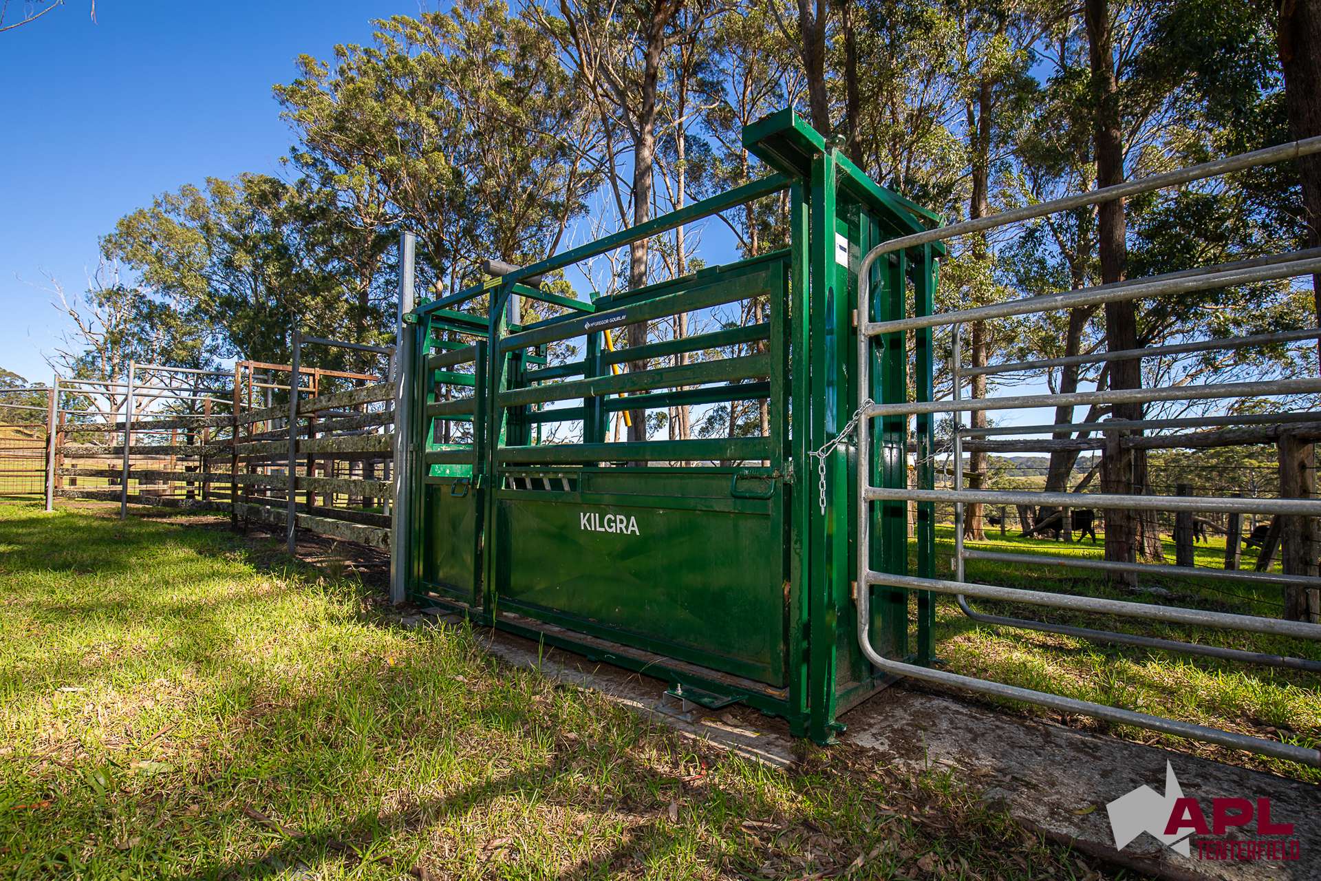 1600 Billirimba Road, Tenterfield For Sale by Farmbuy.com - image 26