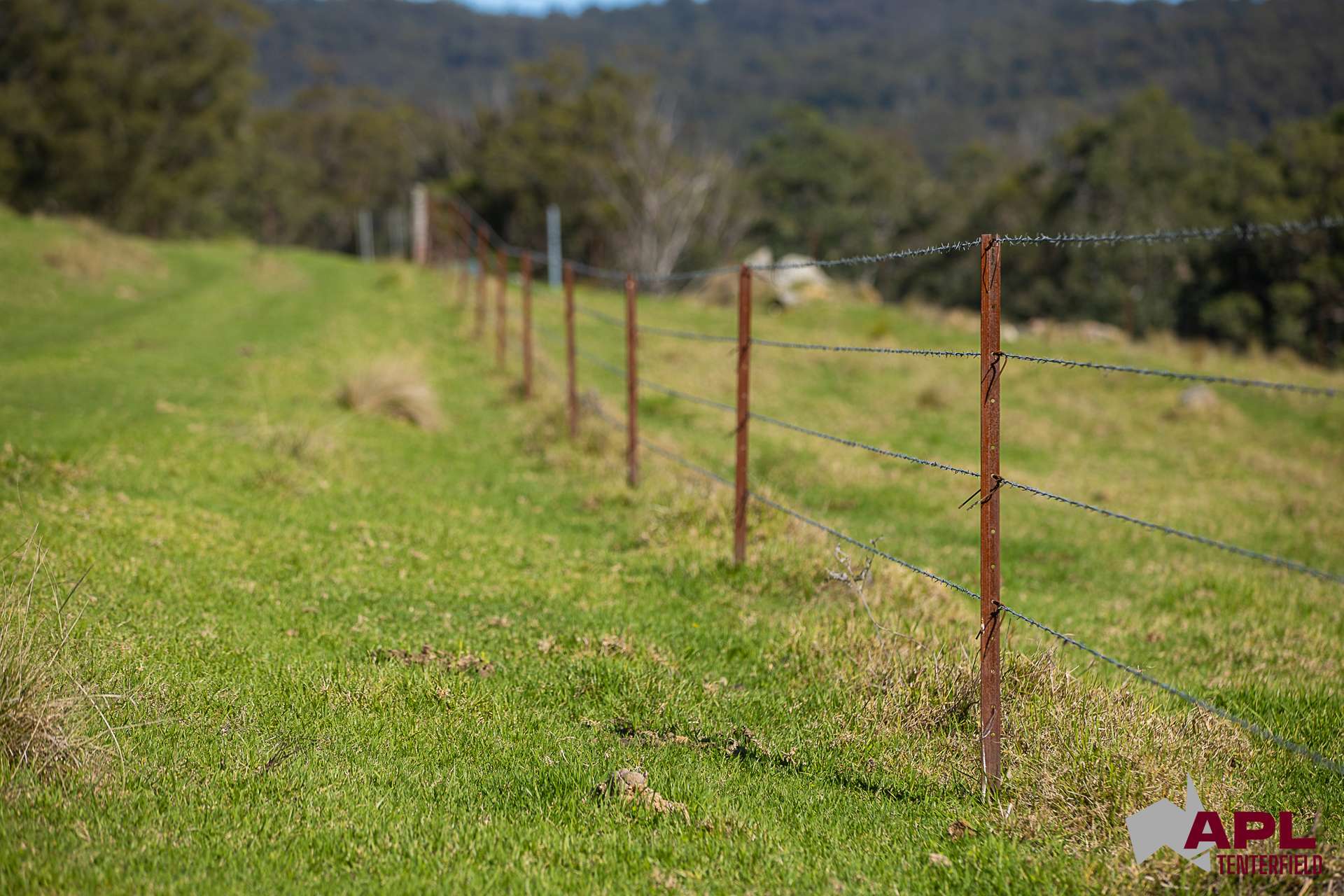 1600 Billirimba Road, Tenterfield For Sale by Farmbuy.com - image 28